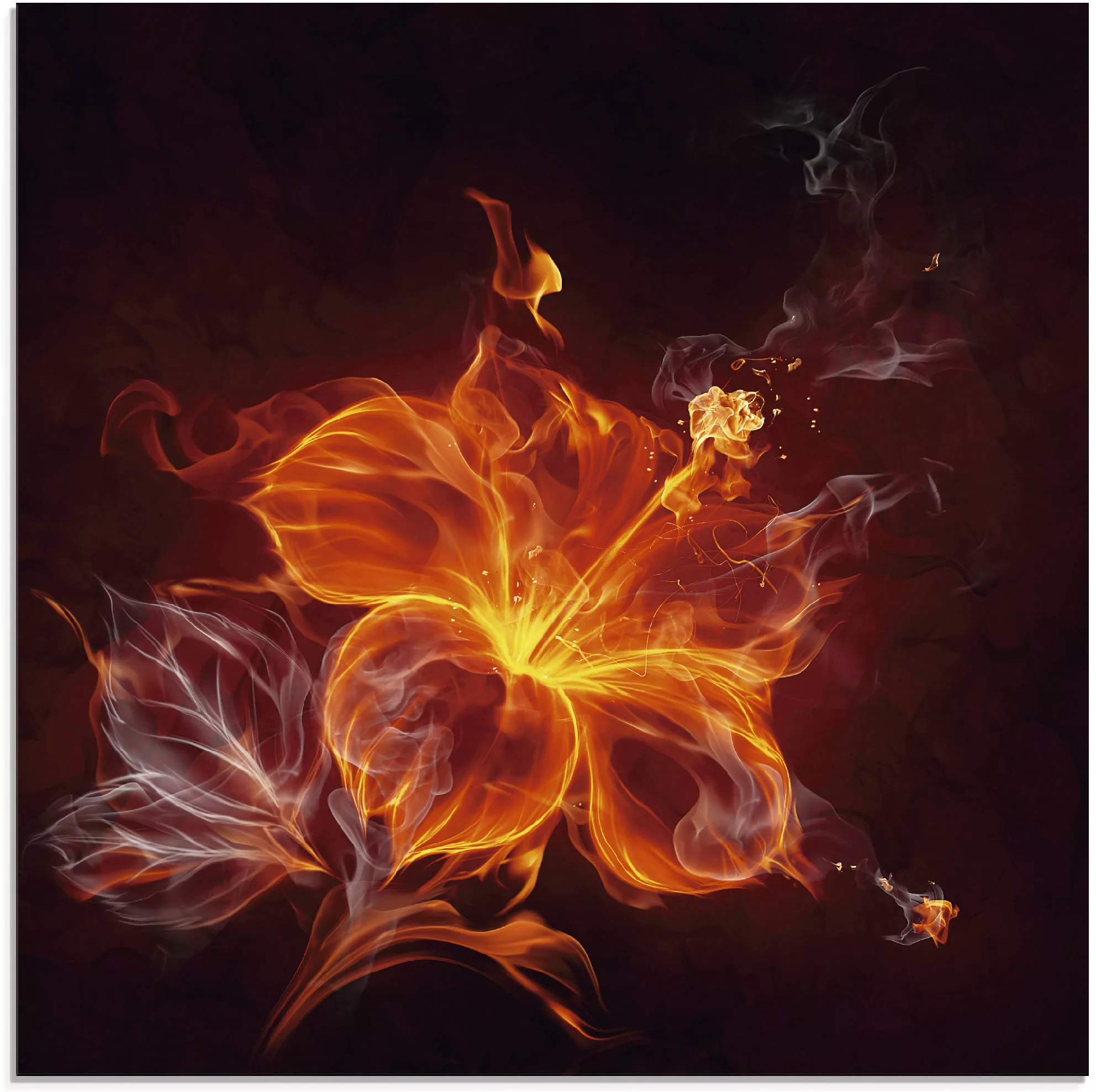 Artland Glasbild "Feuerblume", Blumen, (1 St.), in verschiedenen Größen günstig online kaufen