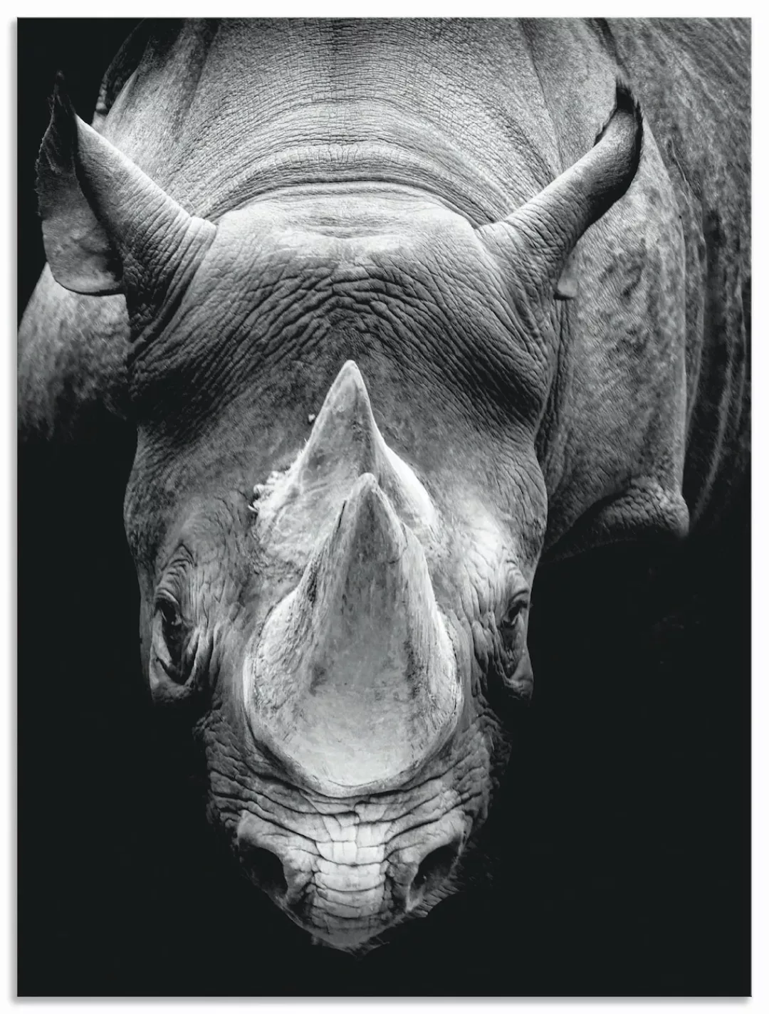 Artland Alu-Dibond-Druck "Das Nashorn", Wildtiere, (1 St.), für Innen- und günstig online kaufen