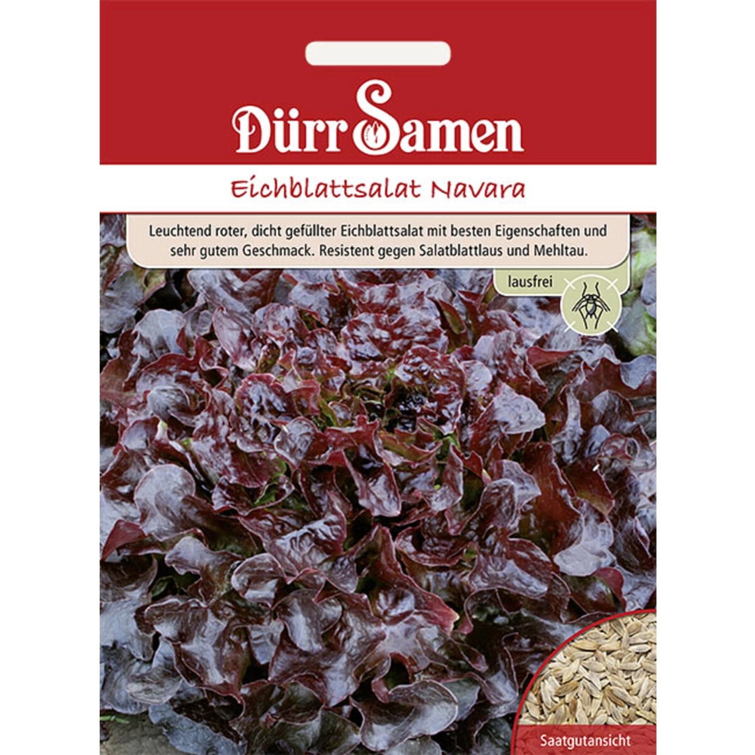 Dürr Samen Eichblattsalat Navara Saatgut günstig online kaufen