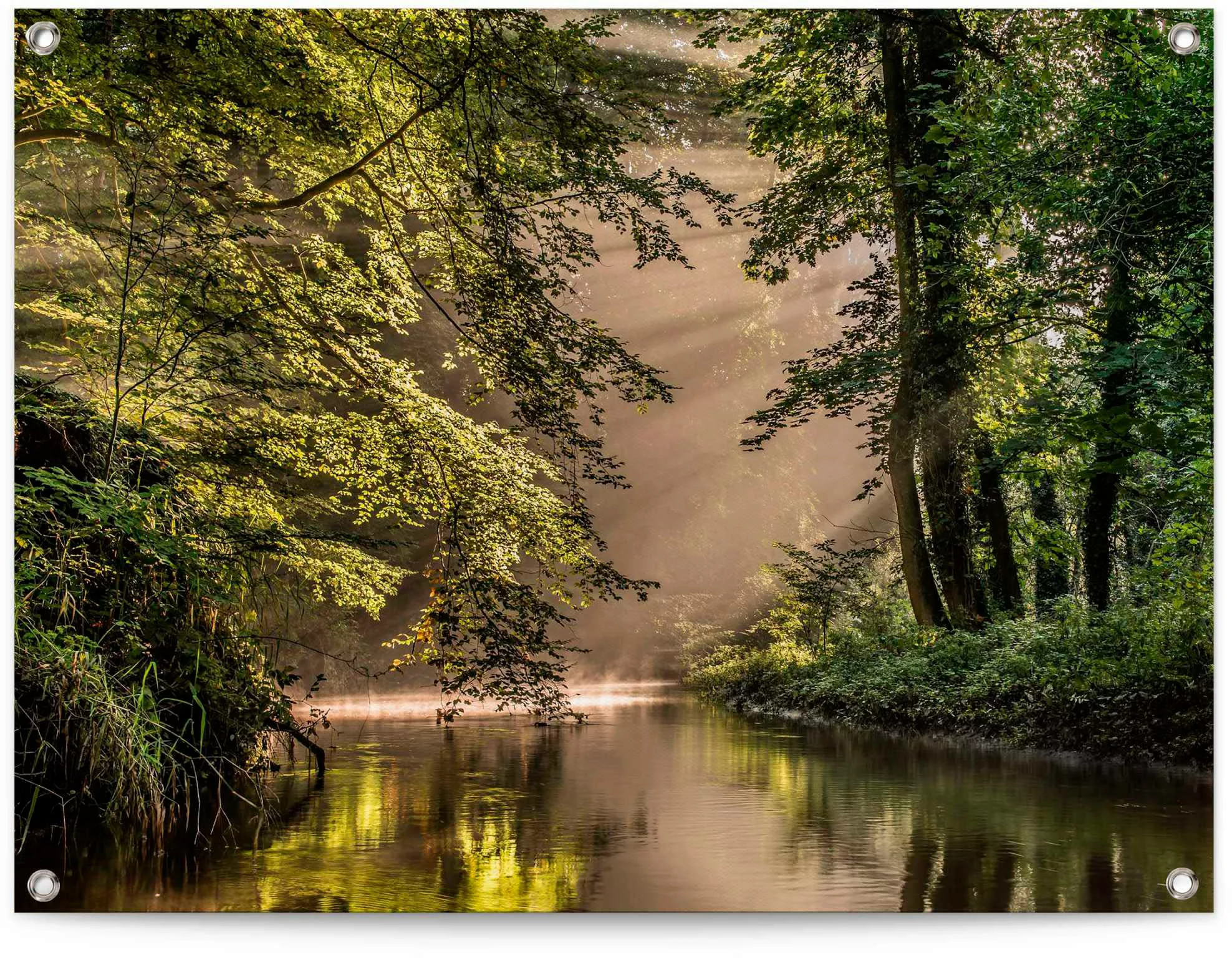 Reinders Poster "Bach im Wald" günstig online kaufen