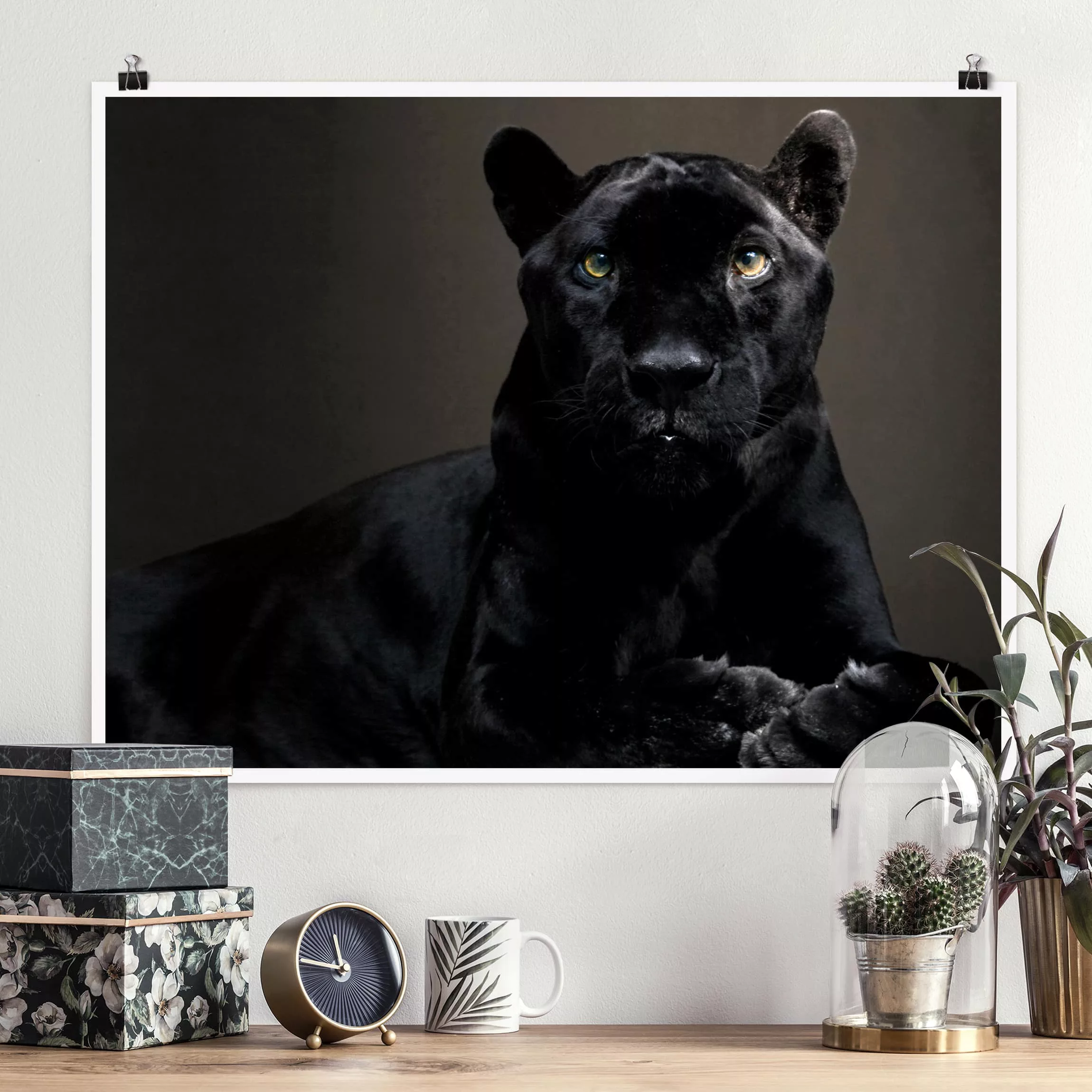 Poster Tiere - Querformat Black Puma günstig online kaufen