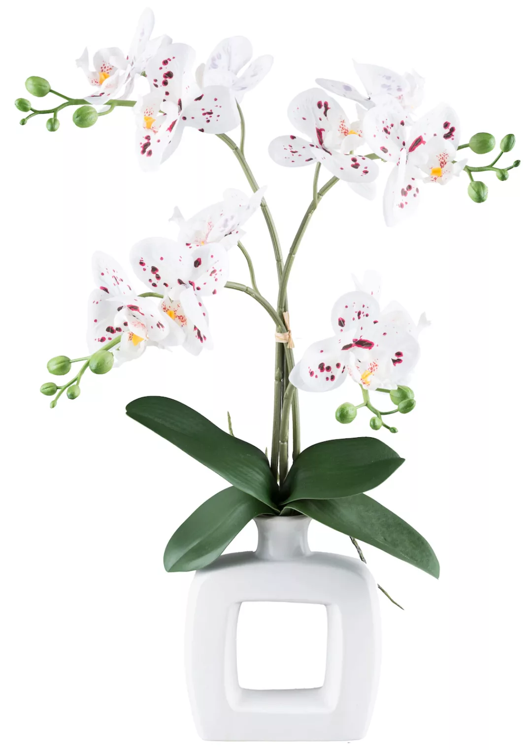 my home Kunstorchidee "Orchidee Phalaenopsis", mit real-touch-Blüten günstig online kaufen