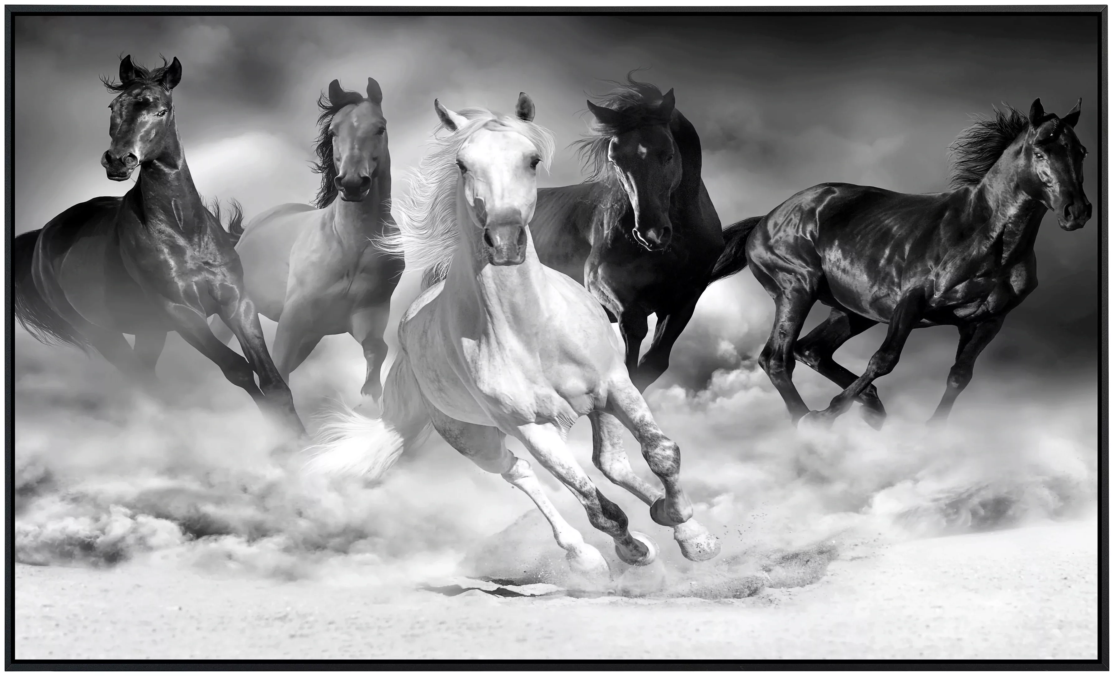 Papermoon Infrarotheizung »Pferde Schwarz & Weiß« günstig online kaufen