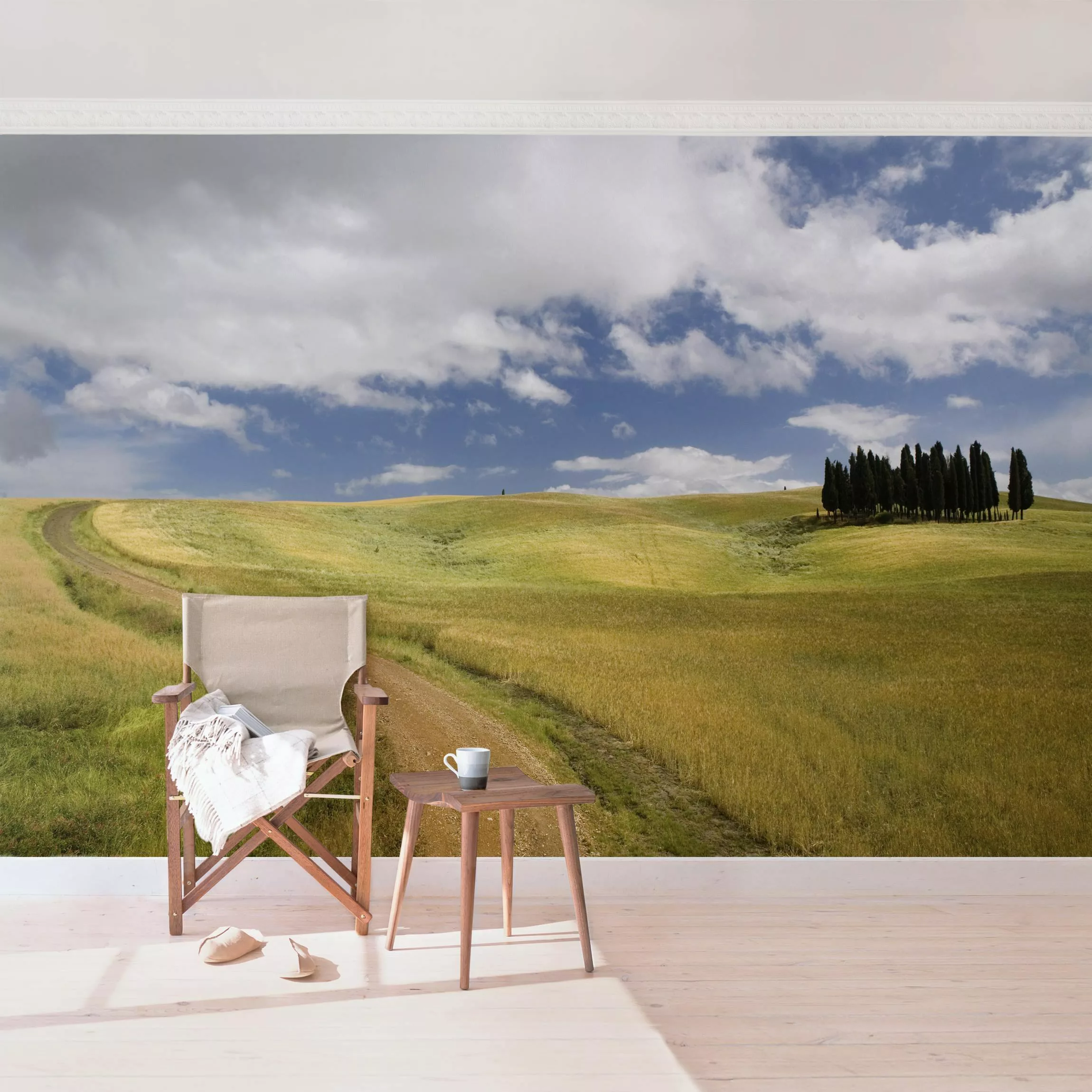 Fototapete Zypressen in der Toskana günstig online kaufen