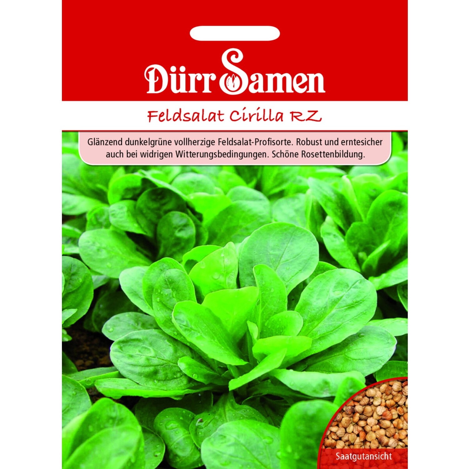 Dürr Samen Feldsalat Cirilla Rz Saatgut günstig online kaufen