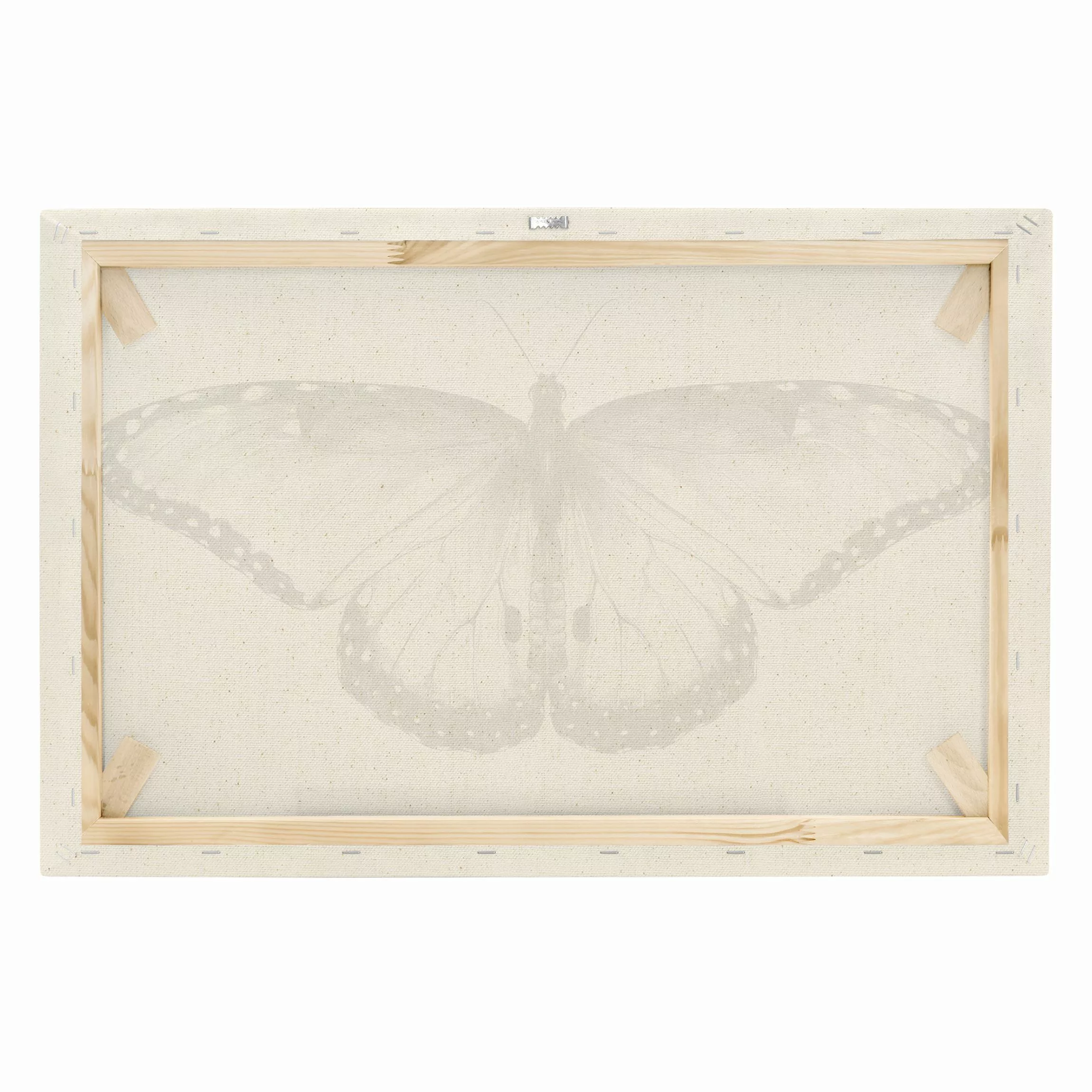 Leinwandbild auf Canvas Natural Illustration fliegender Blauer Morpho Schwa günstig online kaufen