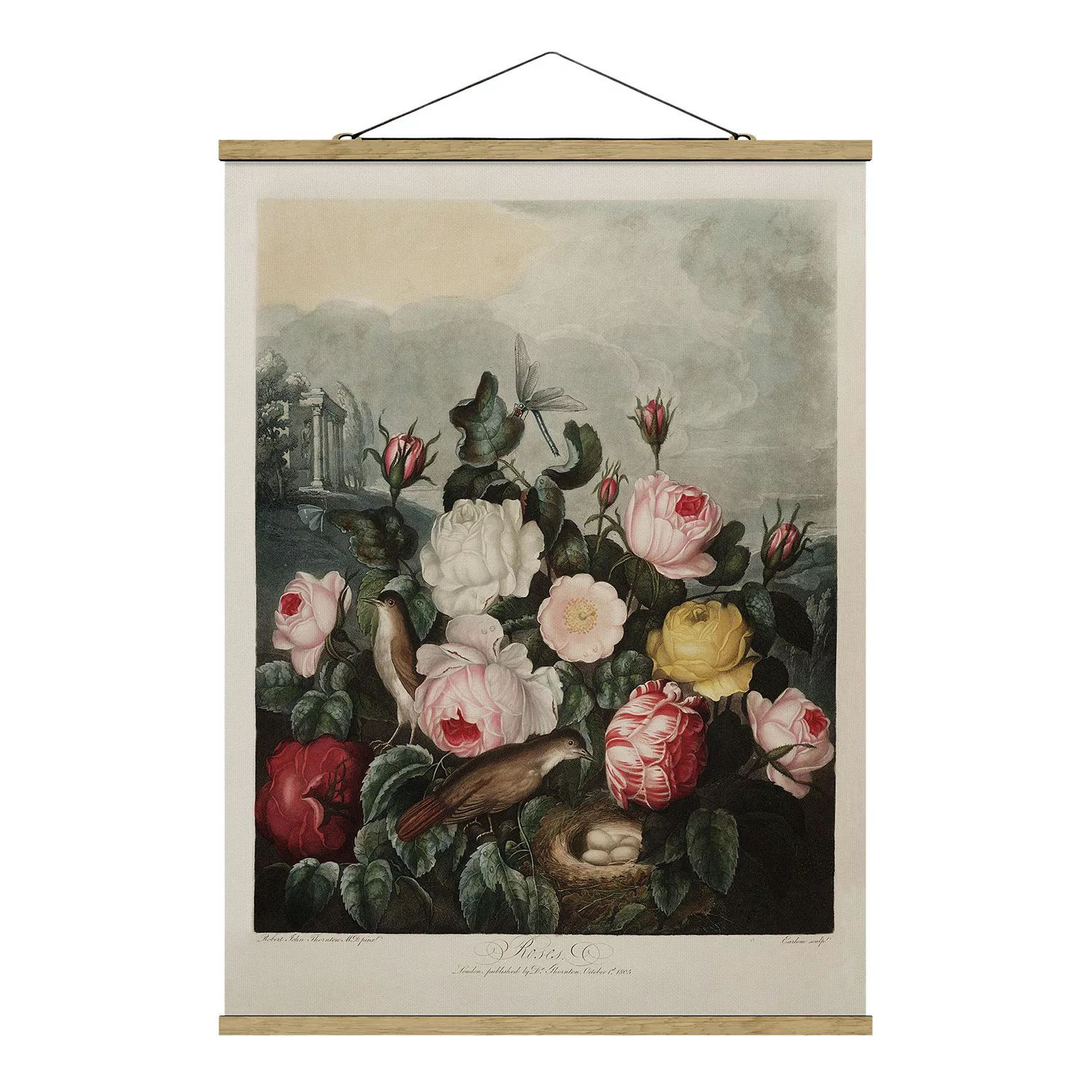 home24 Stoffbild Botanik Vintage  Rosen günstig online kaufen