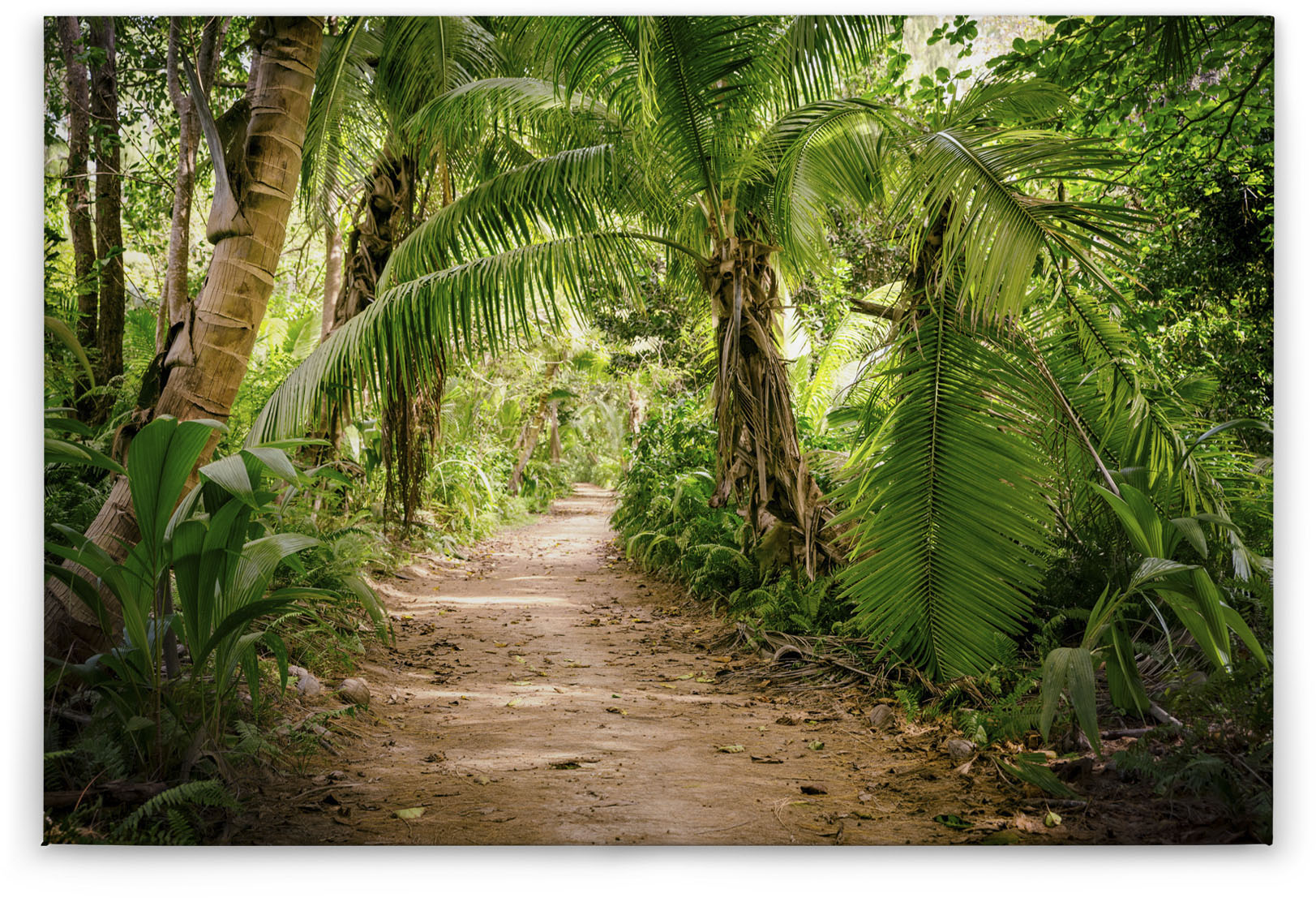 A.S. Création Leinwandbild "Palm Walk", (1 St.), Palmen Wald Keilrahmen Nat günstig online kaufen