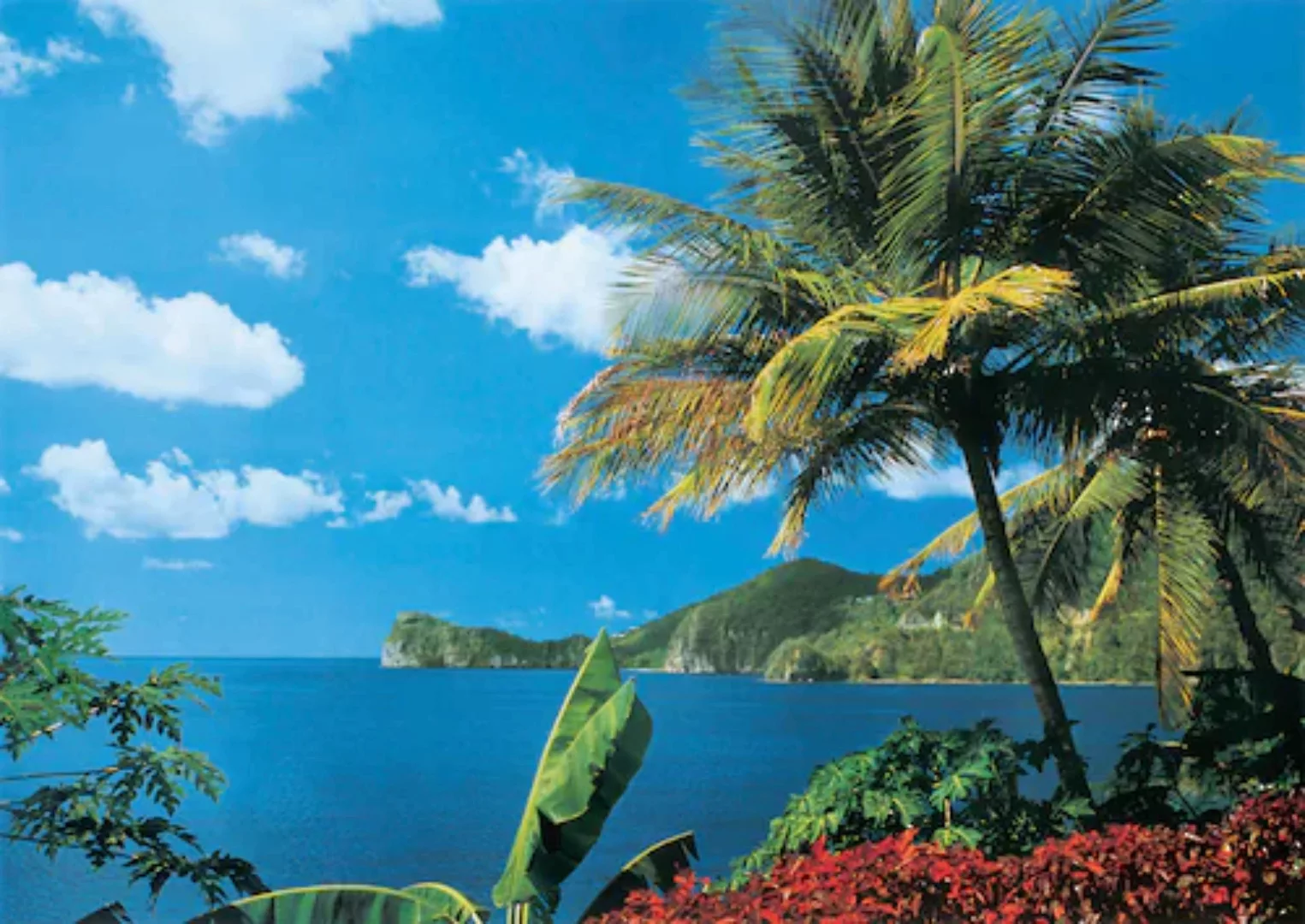 Papermoon Fototapete »St. Lucia« günstig online kaufen