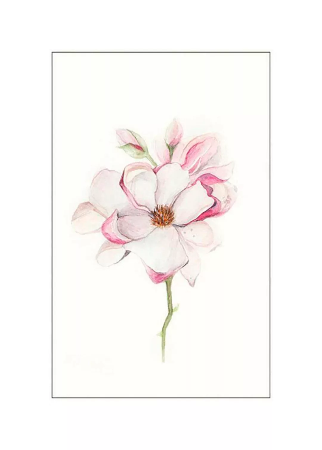 Komar Poster »Magnolia Blossom«, Blumen, (1 St.) günstig online kaufen