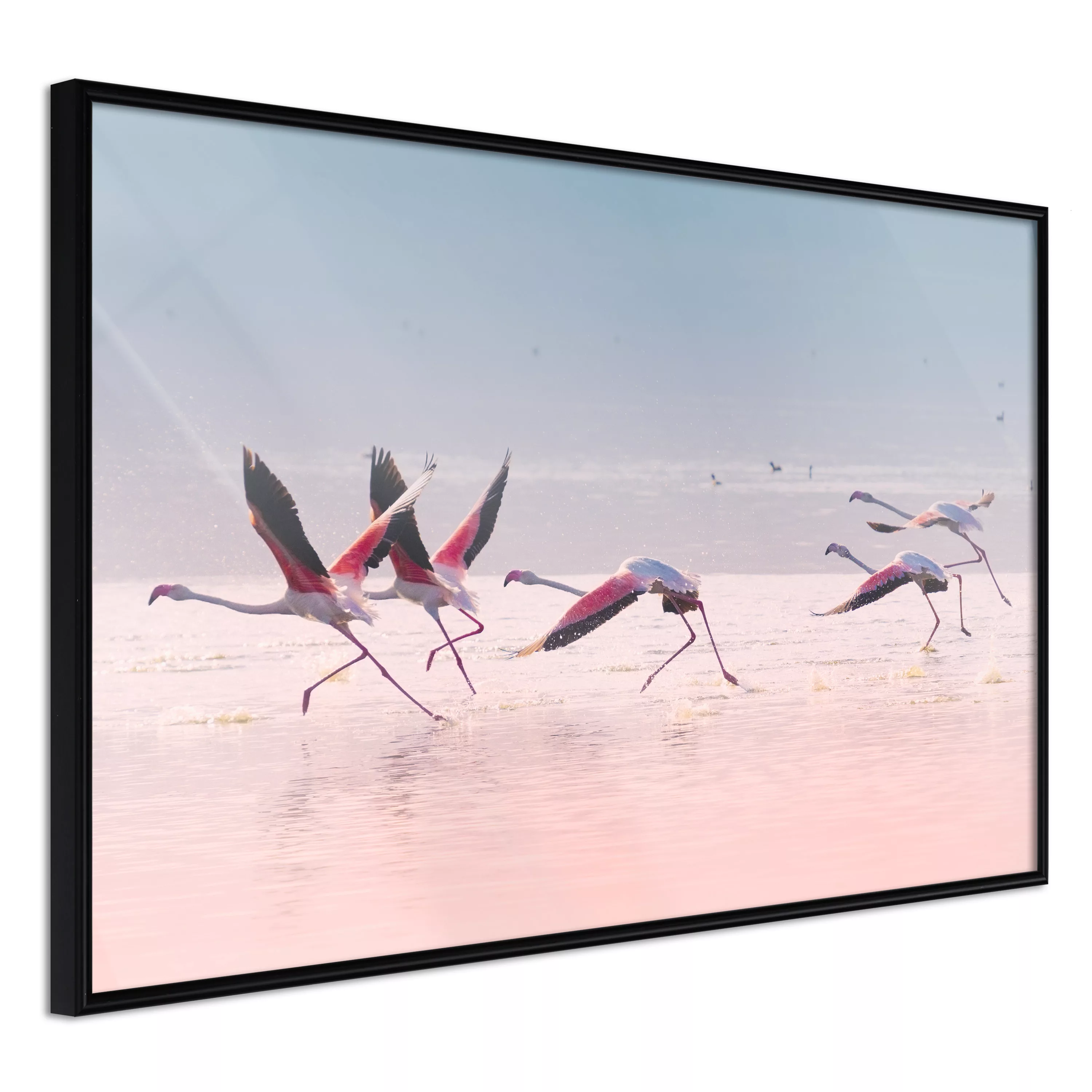 Poster - Flamingos Breaking Into A Flight günstig online kaufen