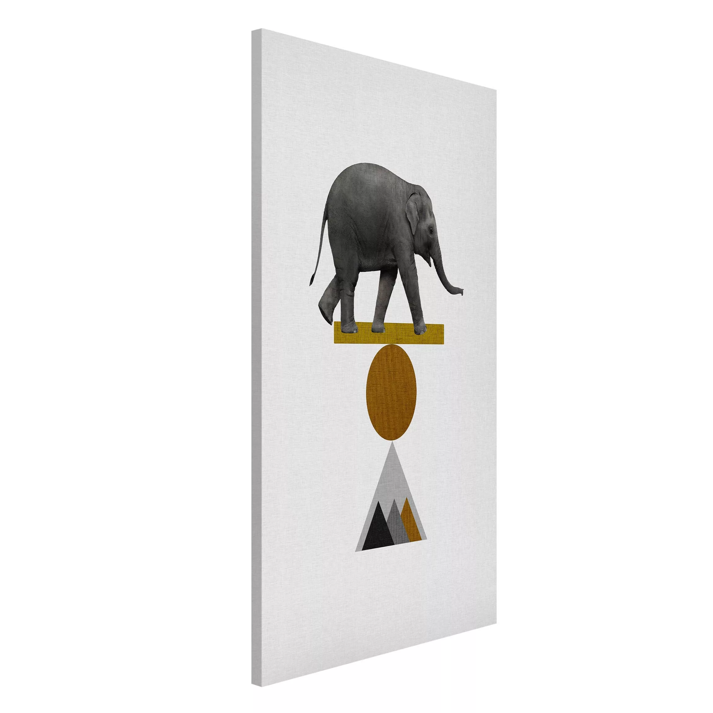 Magnettafel Balancekunst Elefant günstig online kaufen