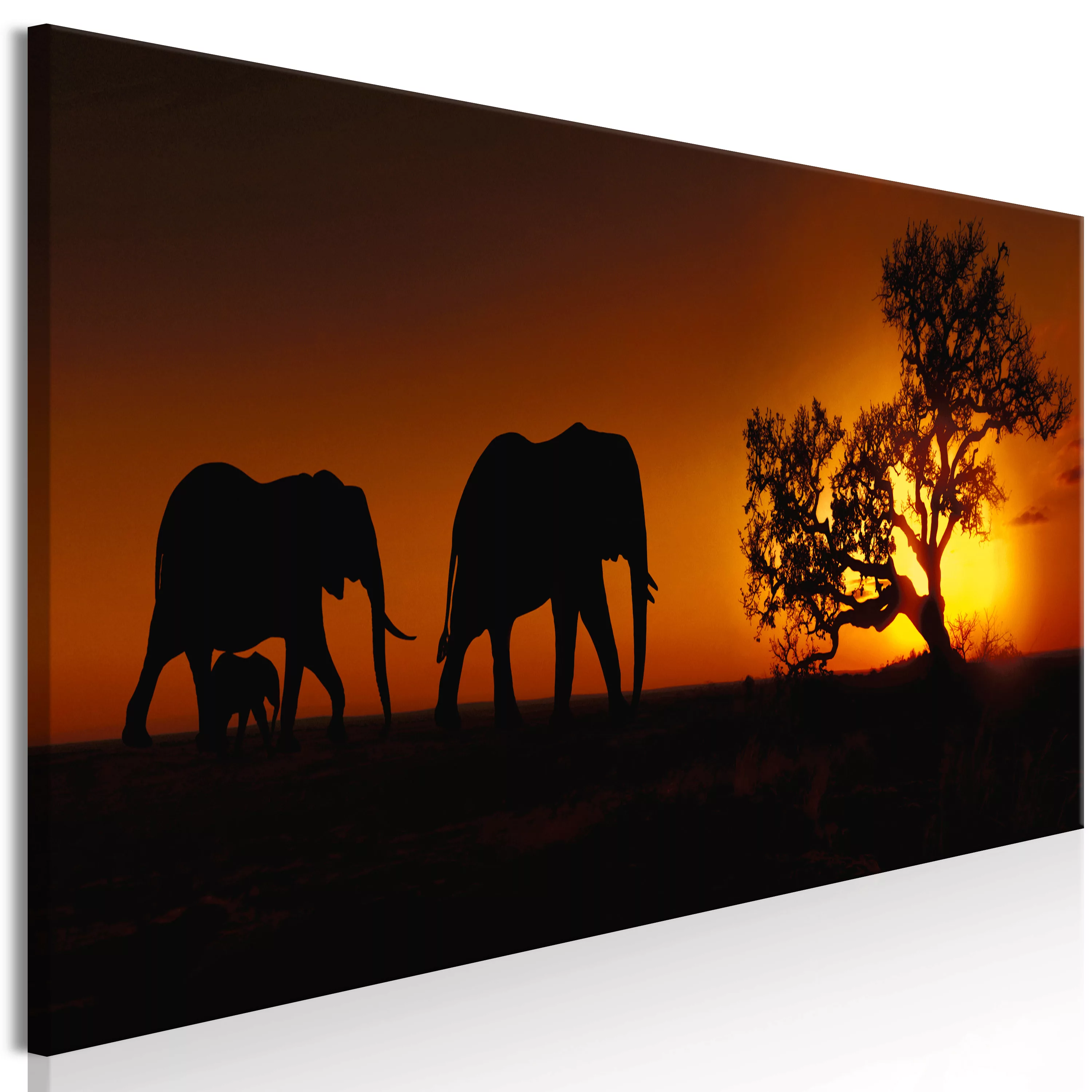 Wandbild - Elephant Family (orange) günstig online kaufen