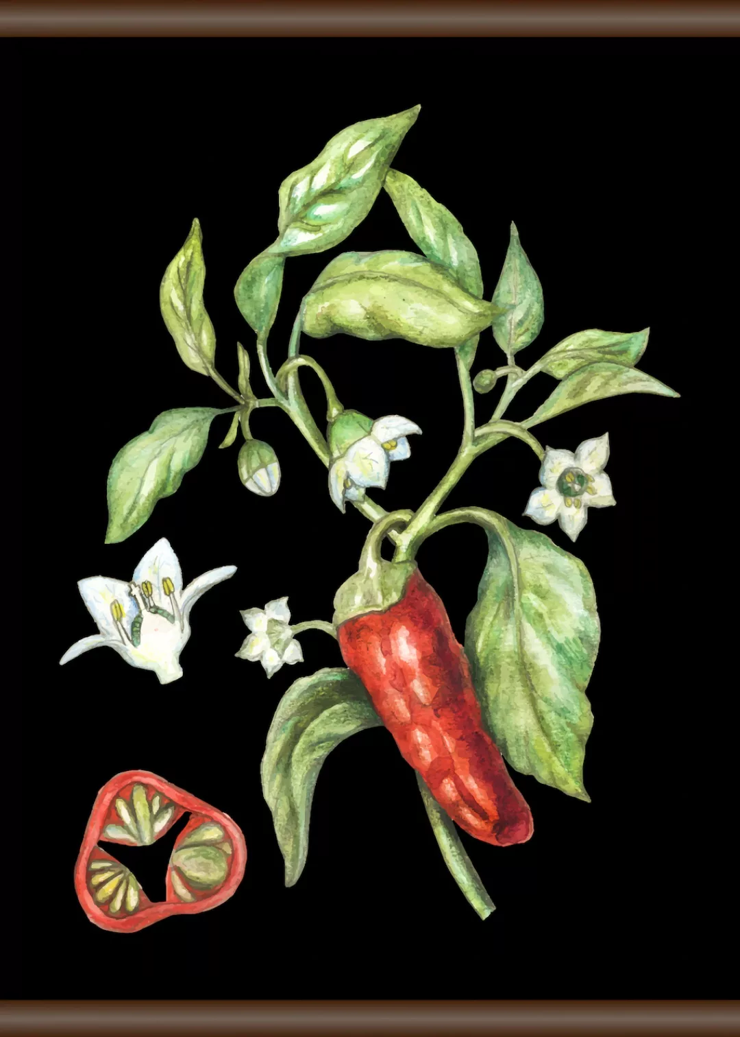 queence Leinwandbild "Chili", 50x70 cm günstig online kaufen