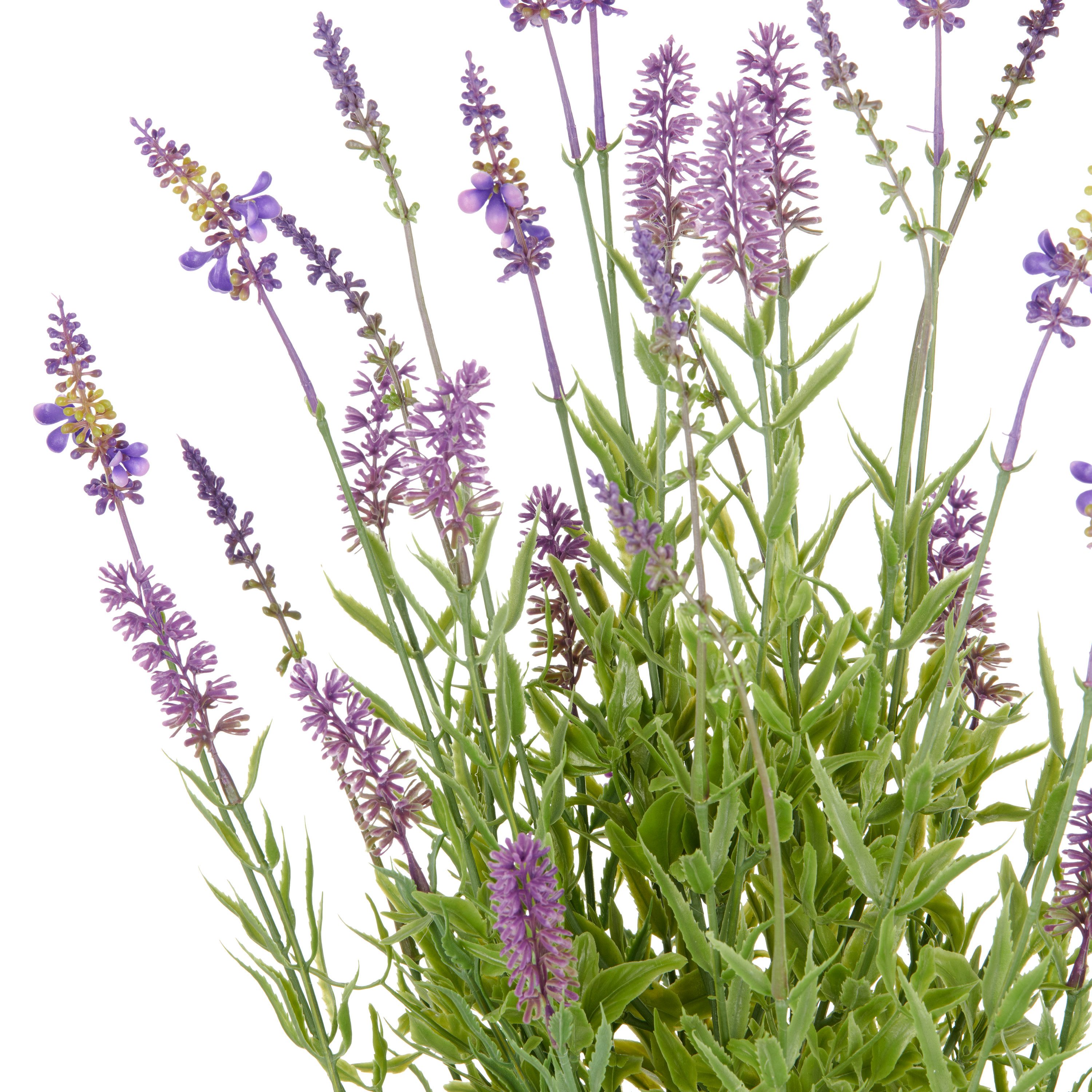 Kunstpflanze Lavendel, Creativ green, Höhe 95 günstig online kaufen