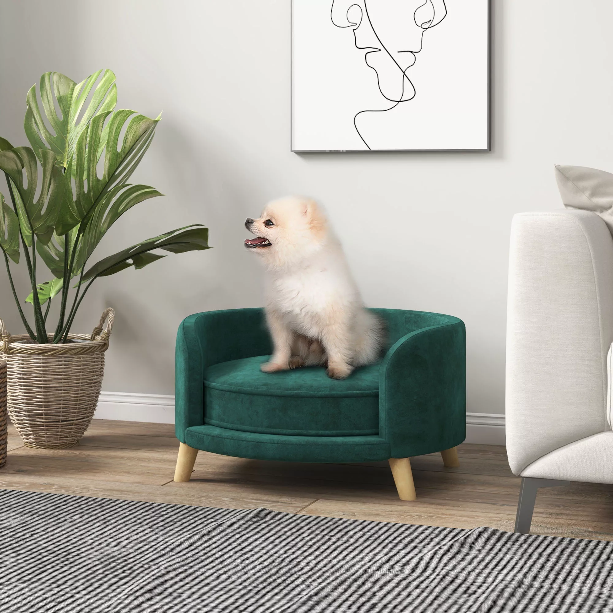 PawHut Hundesofa  Haustiersofa in Samtoptik mit Kissen, erhöhtes Design & H günstig online kaufen