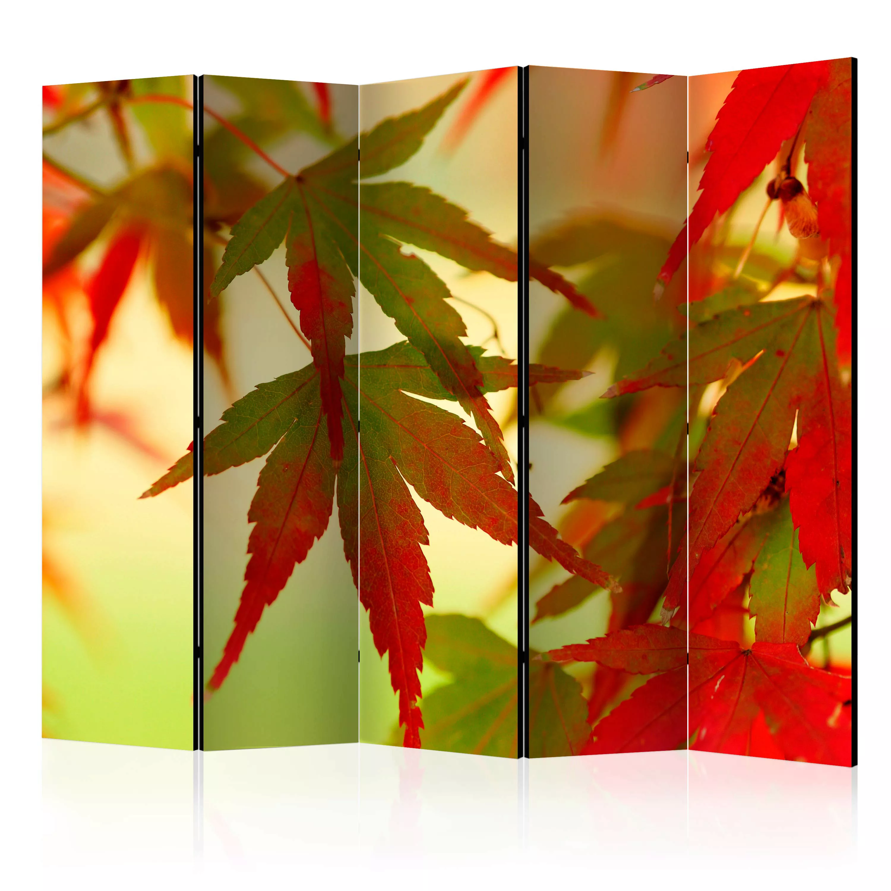 5-teiliges Paravent - Colourful Leaves Ii [room Dividers] günstig online kaufen