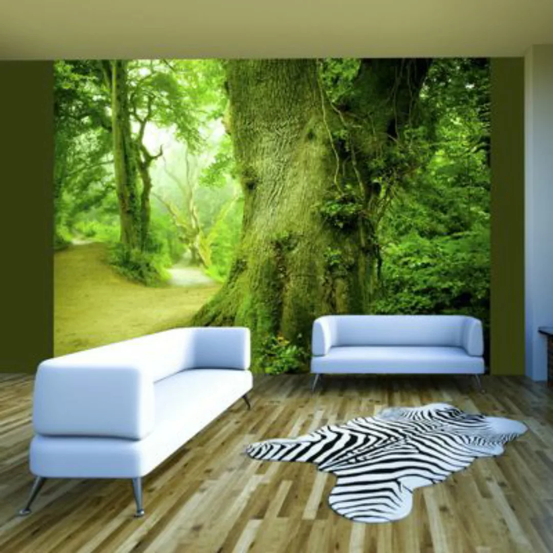 artgeist Fototapete Waldweg grün/weiß Gr. 300 x 231 günstig online kaufen