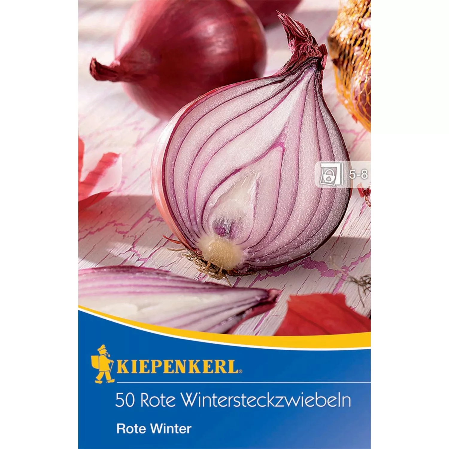 Kiepenkerl  WintersteckzwiebelnRote Winter 50 Stück günstig online kaufen