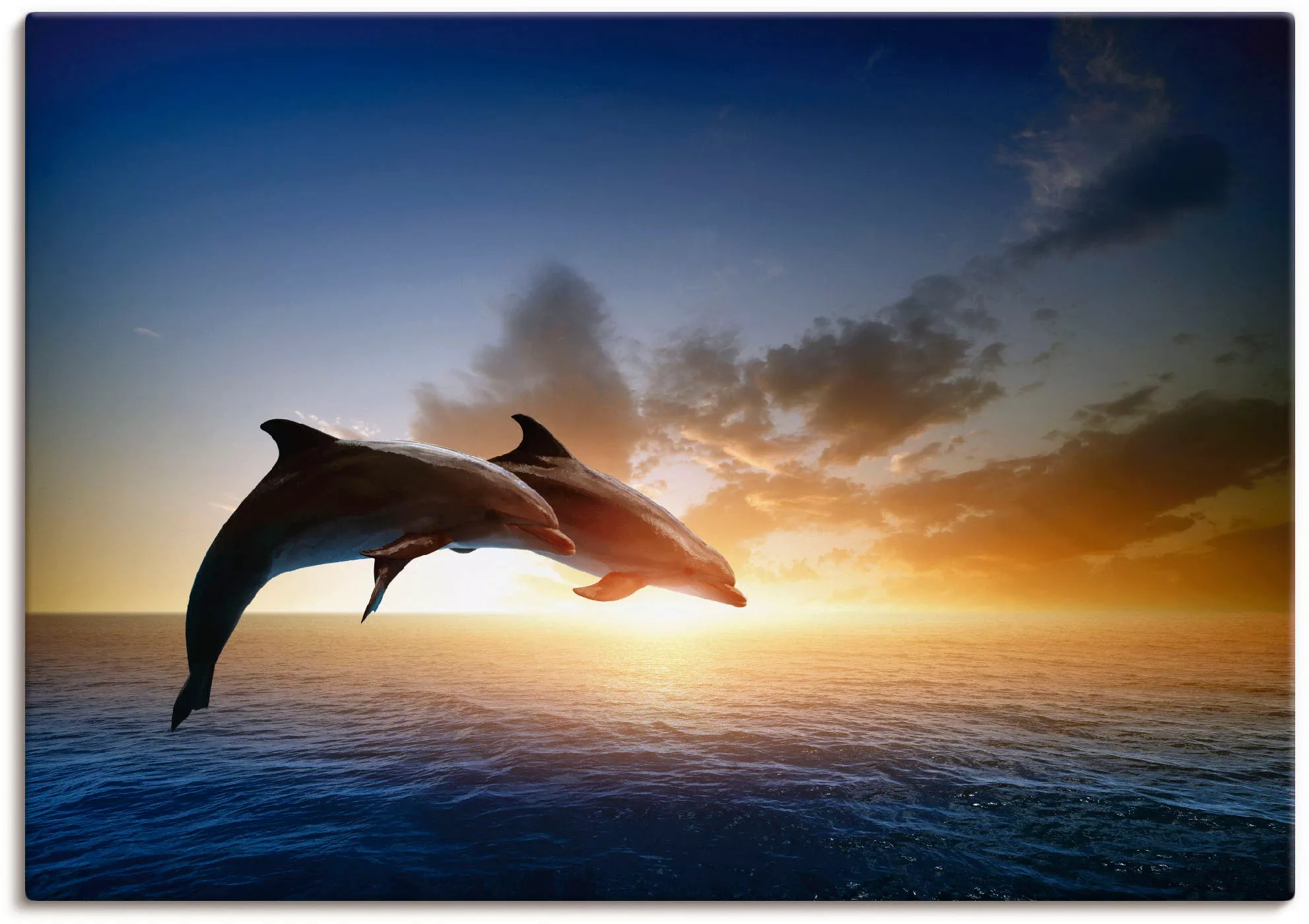 Artland Wandbild "Delfinpaar", Wassertiere, (1 St.), als Leinwandbild, Post günstig online kaufen