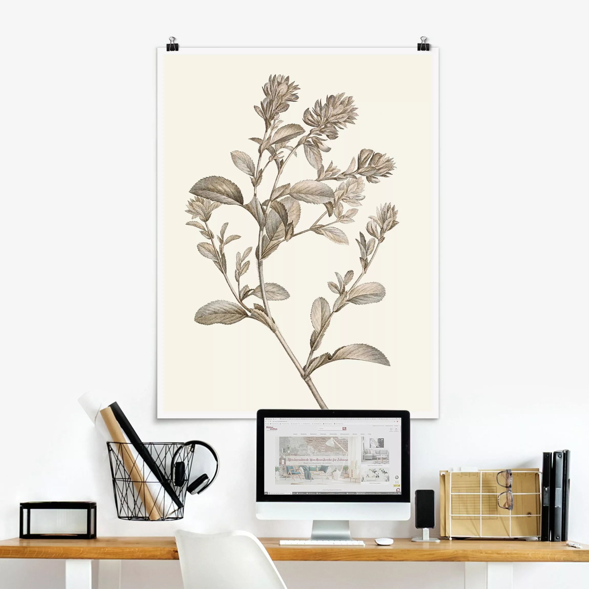 Poster Botanische Studie in Sepia I günstig online kaufen