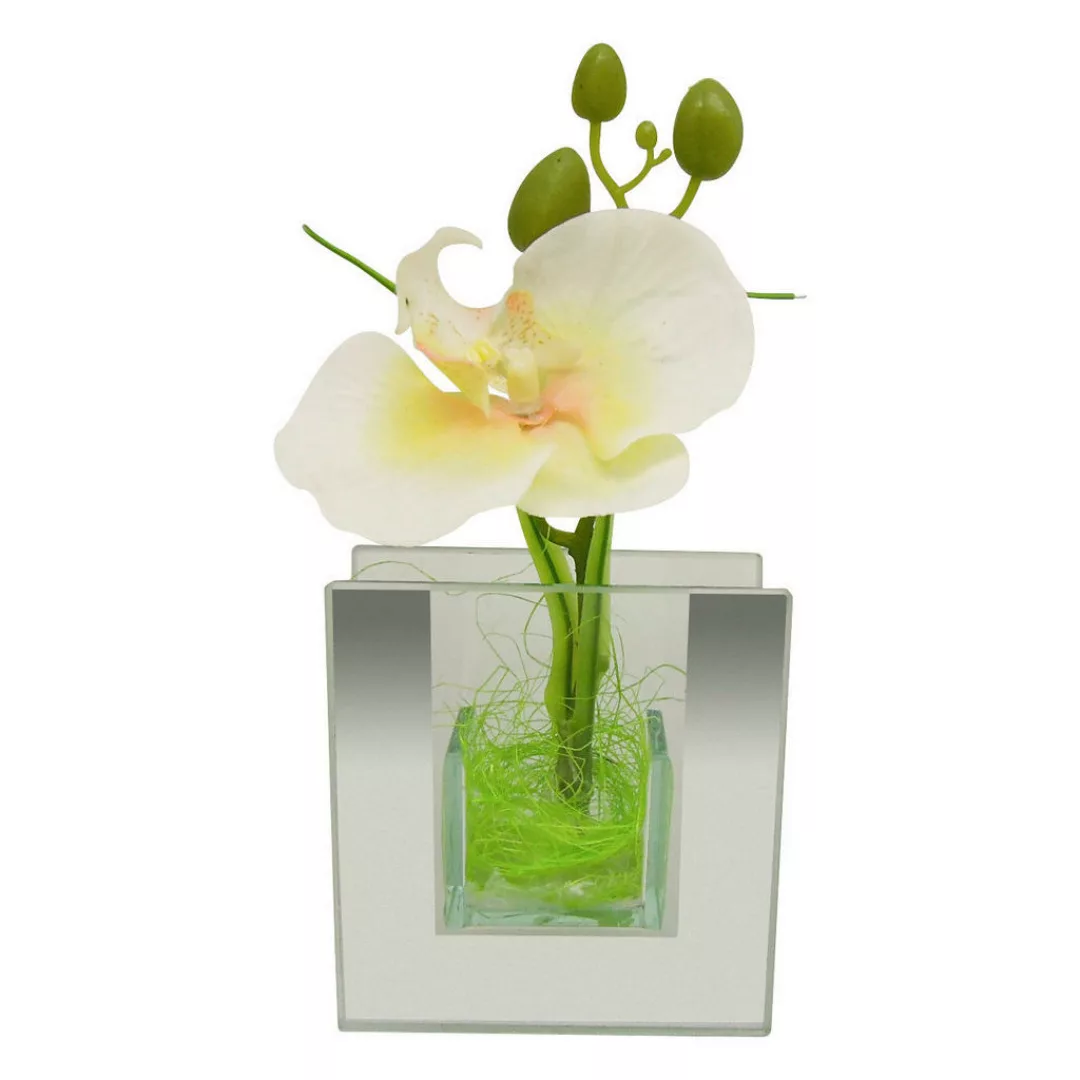 POCOline Vase klar Glas B/H/L: ca. 4x9x8,5 cm günstig online kaufen