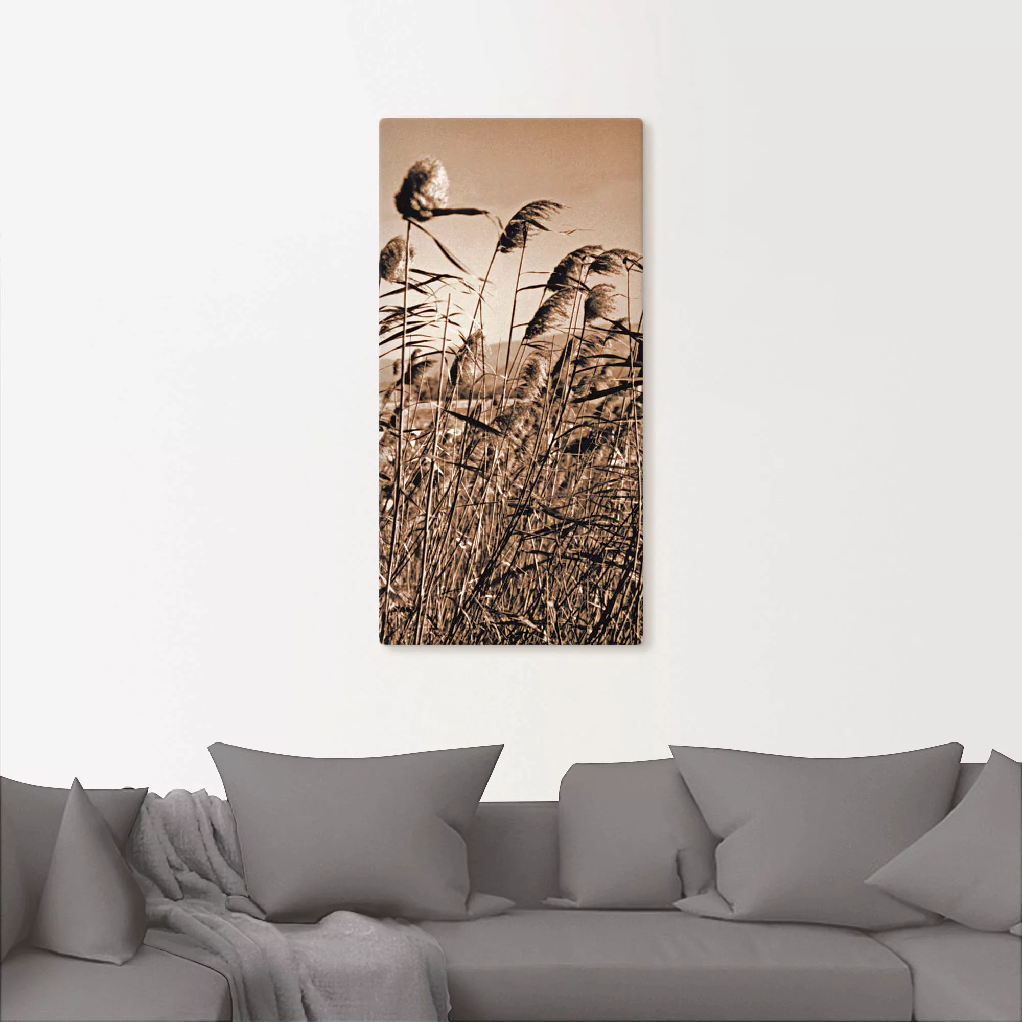 Artland Wandbild »Sepia Gräser II«, Gräser, (1 St.), als Leinwandbild in ve günstig online kaufen