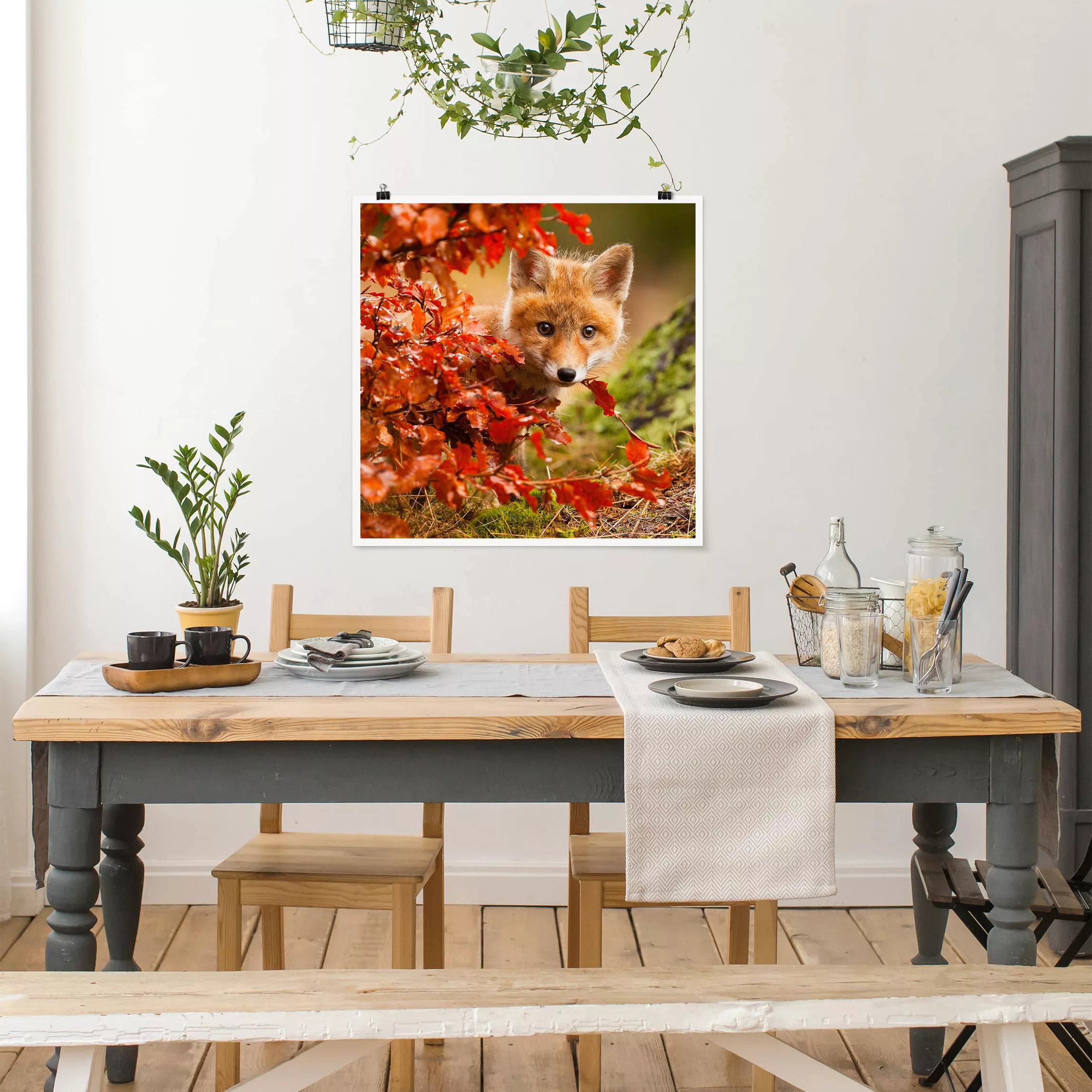 Poster Tiere - Quadrat Fuchs im Herbst günstig online kaufen