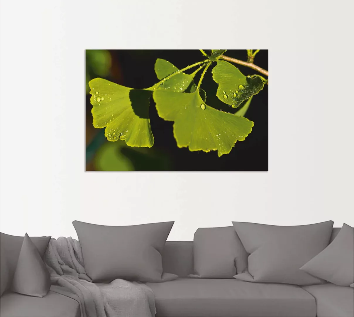 Artland Wandbild "Ginkgo Blätter", Blätter, (1 St.), als Alubild, Outdoorbi günstig online kaufen