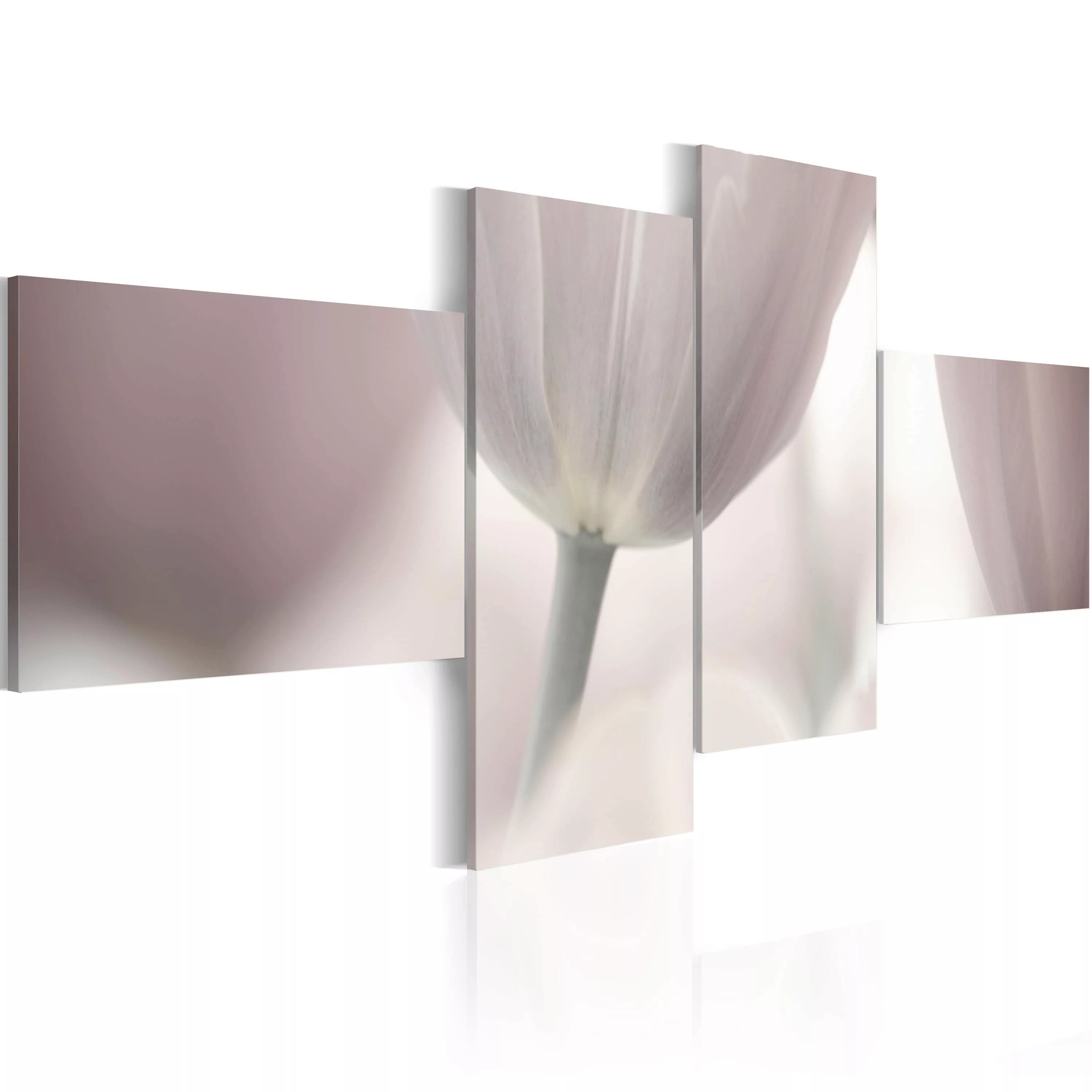 Wandbild - Tulpe in Pastell günstig online kaufen