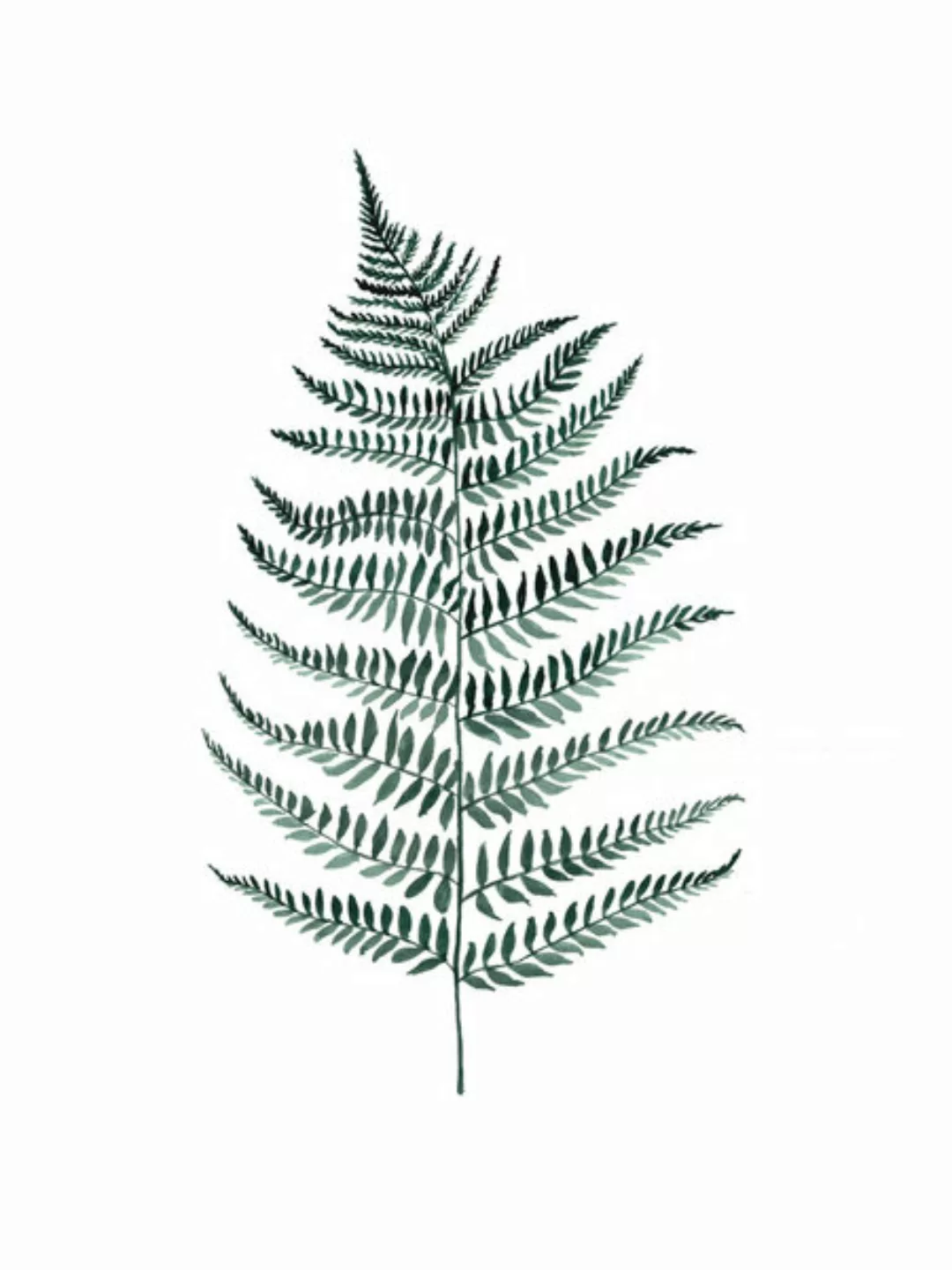 Poster / Leinwandbild - Mantika Botanical Silverfern günstig online kaufen