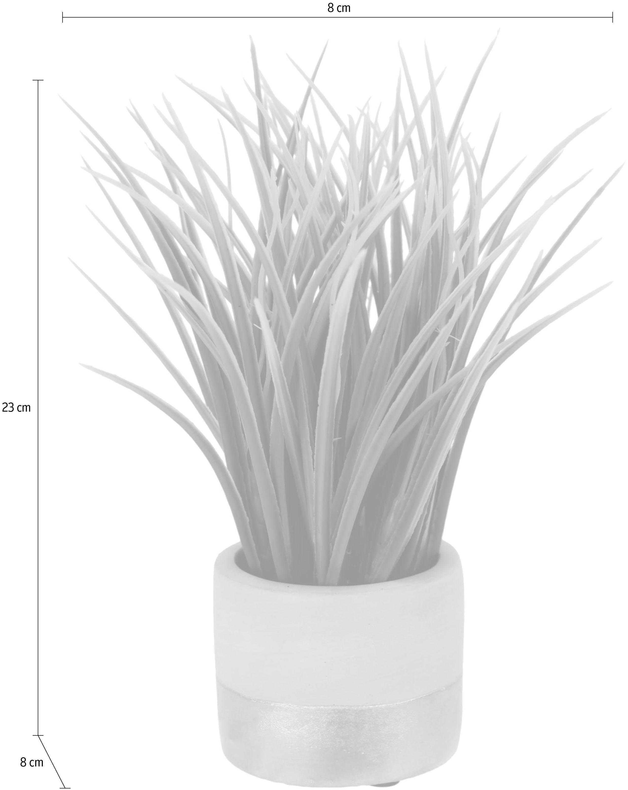Kunstgras Gras, I.GE.A., Höhe 24 cm, günstig online kaufen