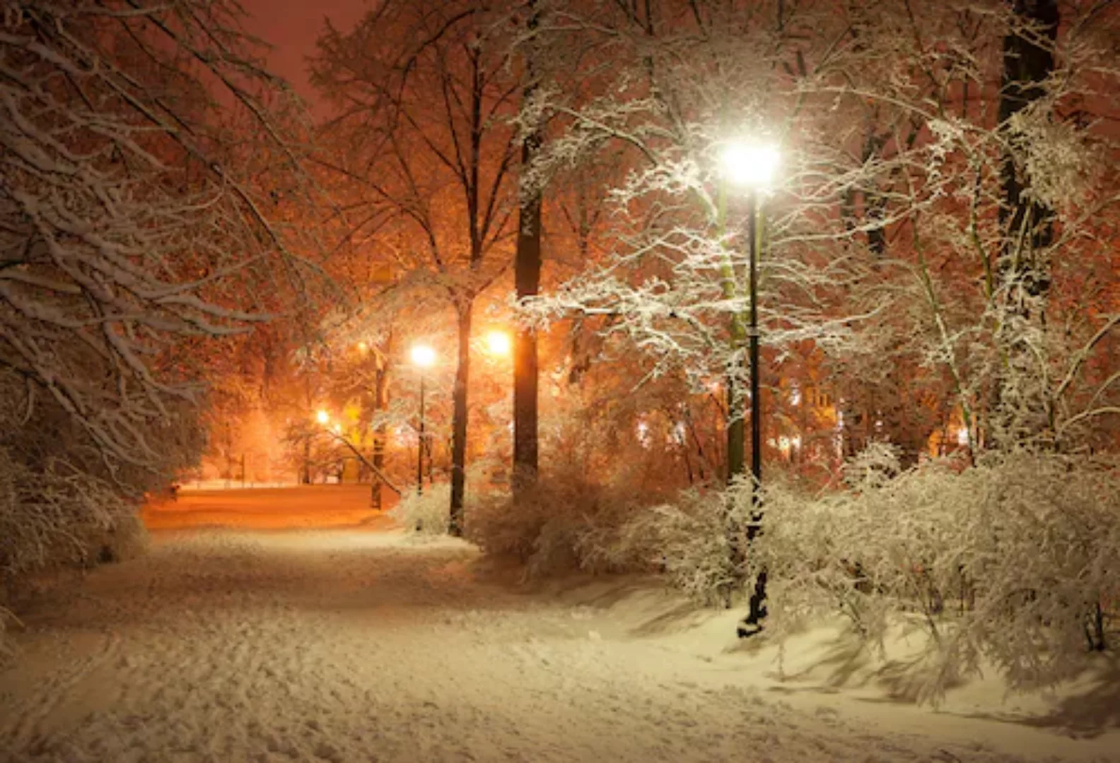 Papermoon Fototapete »Park im Winter« günstig online kaufen