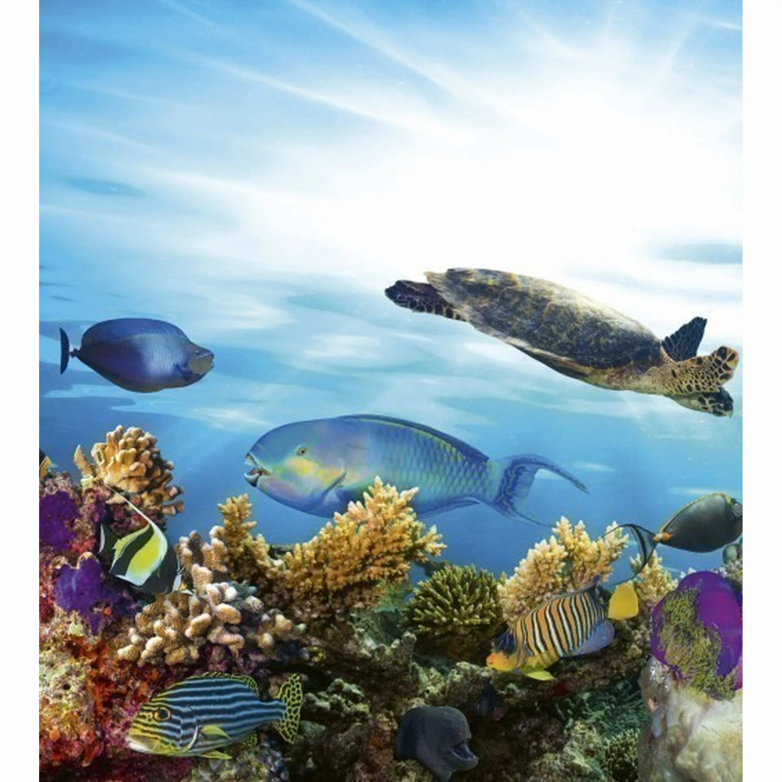 Fototapete FISH  | MS-3-0216 | Blau | Digitaldruck auf Vliesträger günstig online kaufen