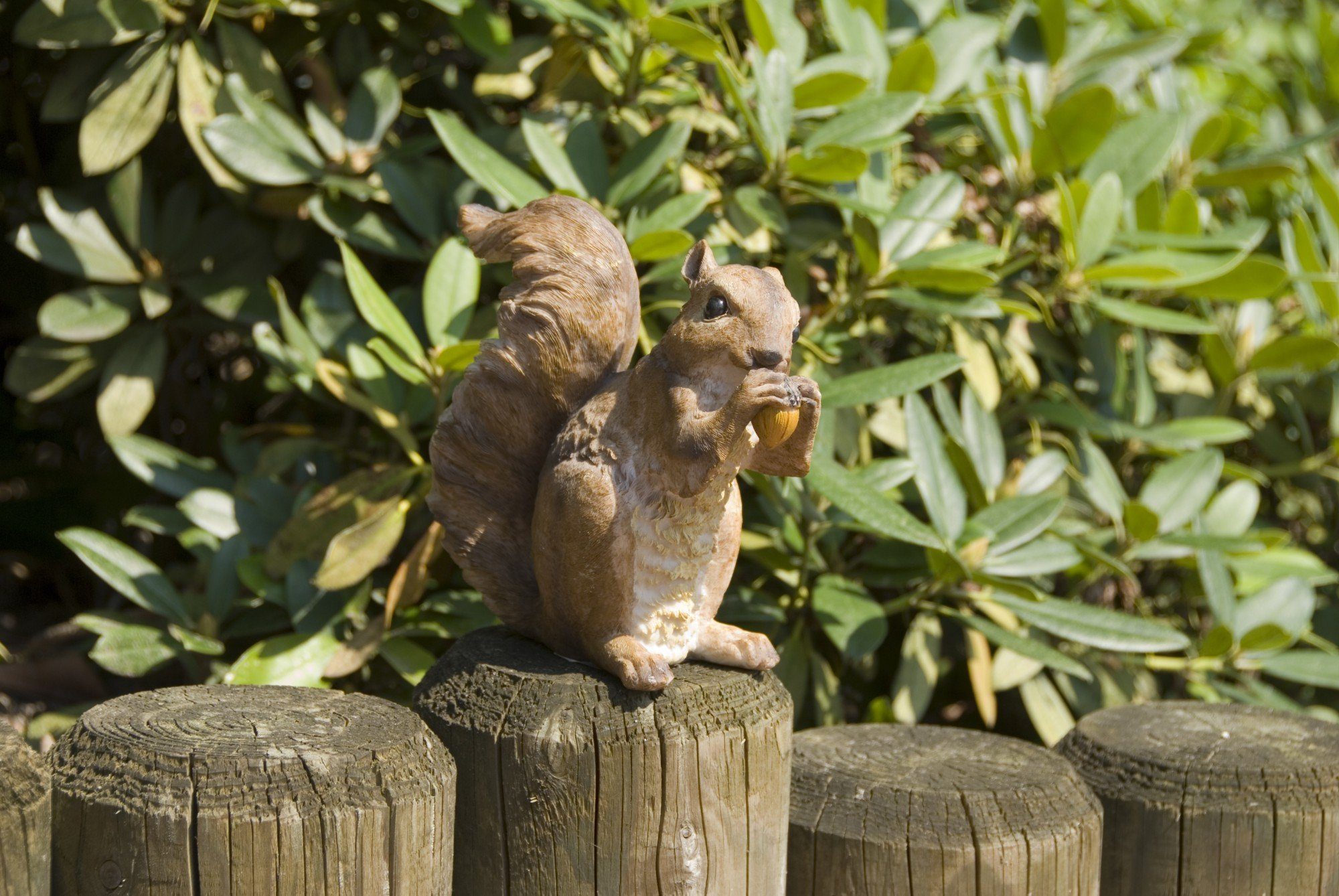 GartenHero Gartenfigur Gartenfigur Eichhörnchen Figur Dekofigur günstig online kaufen