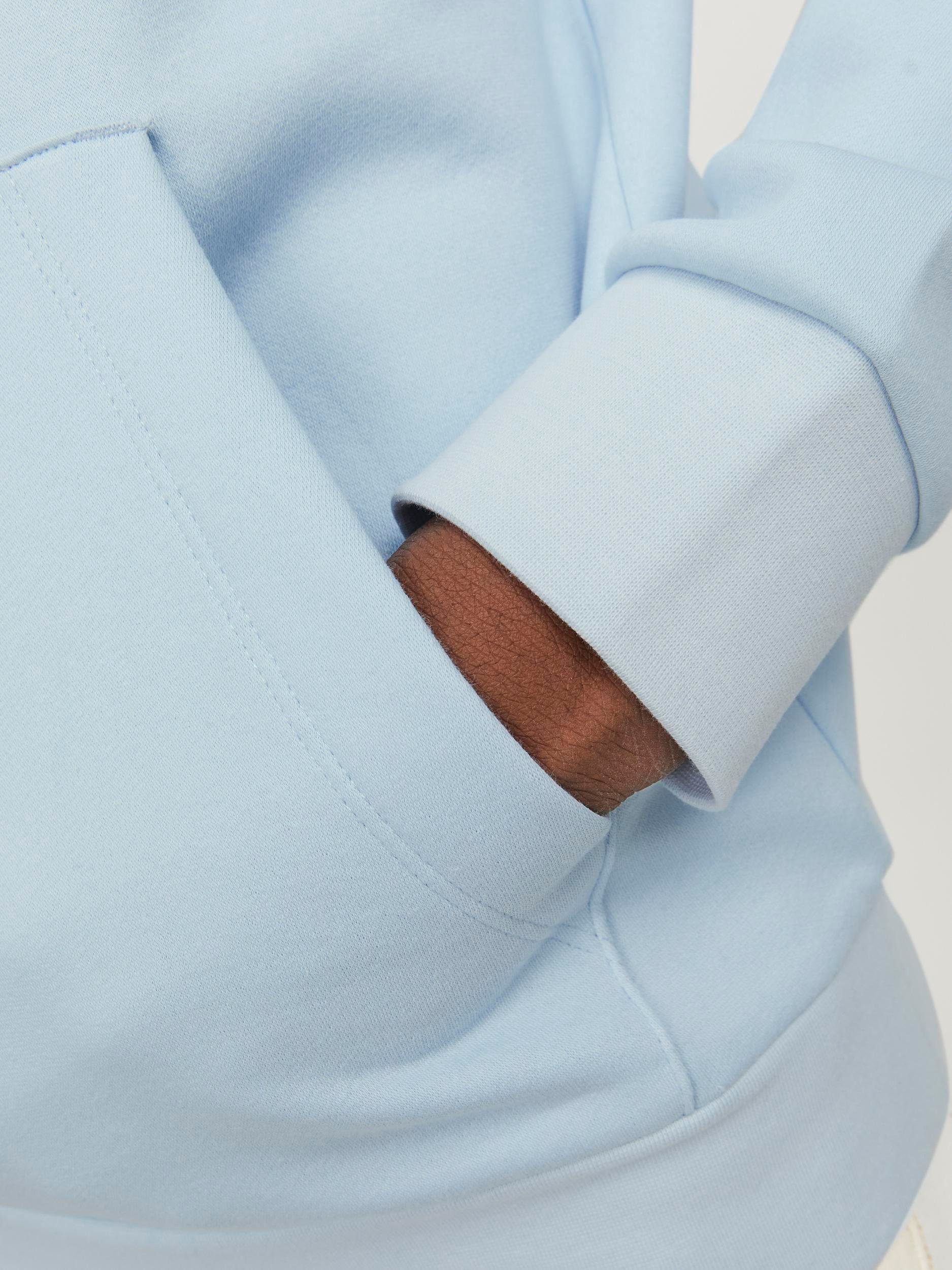 Jack & Jones Kapuzensweatshirt JPRBLUARCHIE SWEAT günstig online kaufen