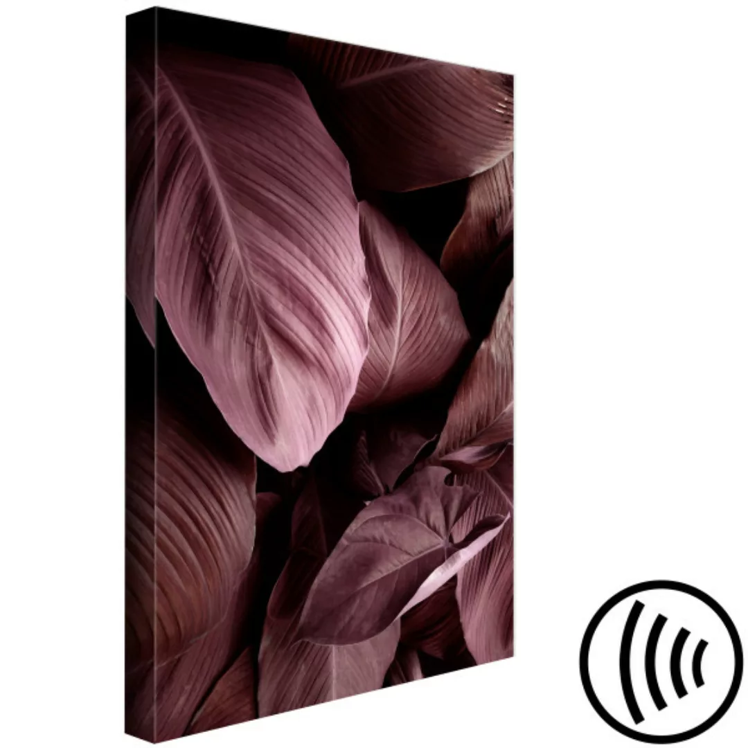 Leinwandbild Exotische Blätter - Foto einer Wand mit Blättern in einem rosa günstig online kaufen