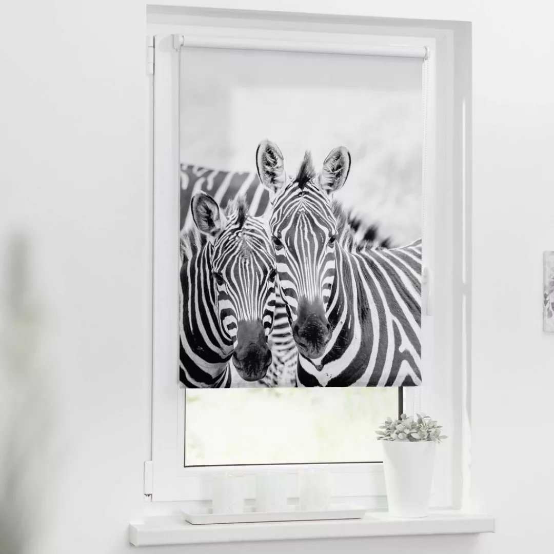 LICHTBLICK ORIGINAL Seitenzugrollo »Klemmfix Motiv Zebra«, Lichtschutz, ohn günstig online kaufen