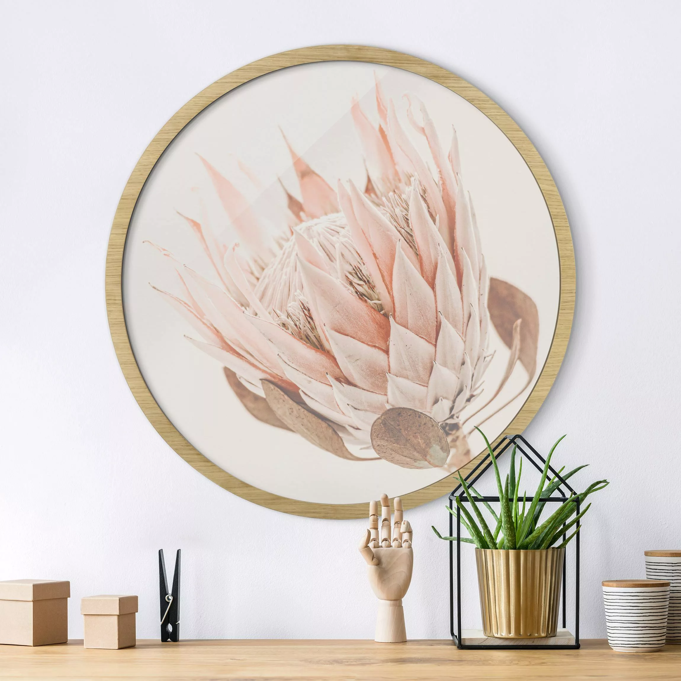 Rundes Gerahmtes Bild Protea Königin der Blüten günstig online kaufen
