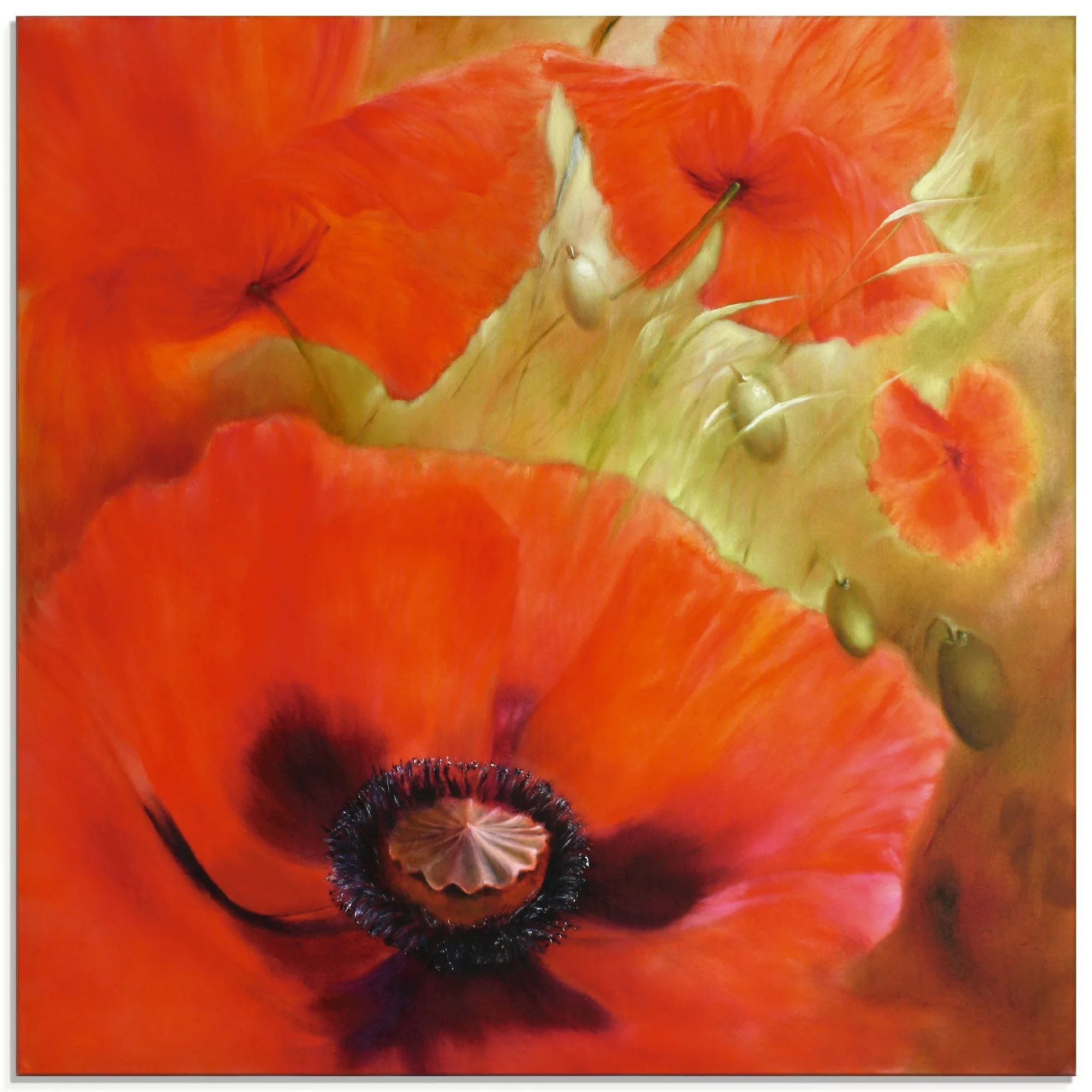 Artland Glasbild "Vier mal Mohn", Blumen, (1 St.) günstig online kaufen
