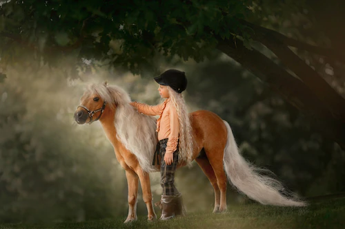 Papermoon Fototapete »PALOMINO MINIATURE PFERD-MÄDCHEN WINTER TIER PONY MIN günstig online kaufen