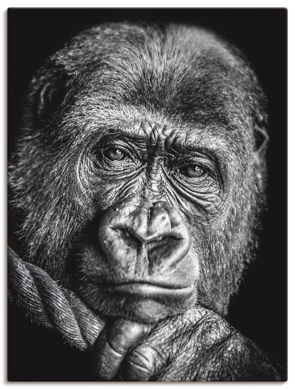 Artland Leinwandbild »Gorilla«, Wildtiere, (1 St.), auf Keilrahmen gespannt günstig online kaufen