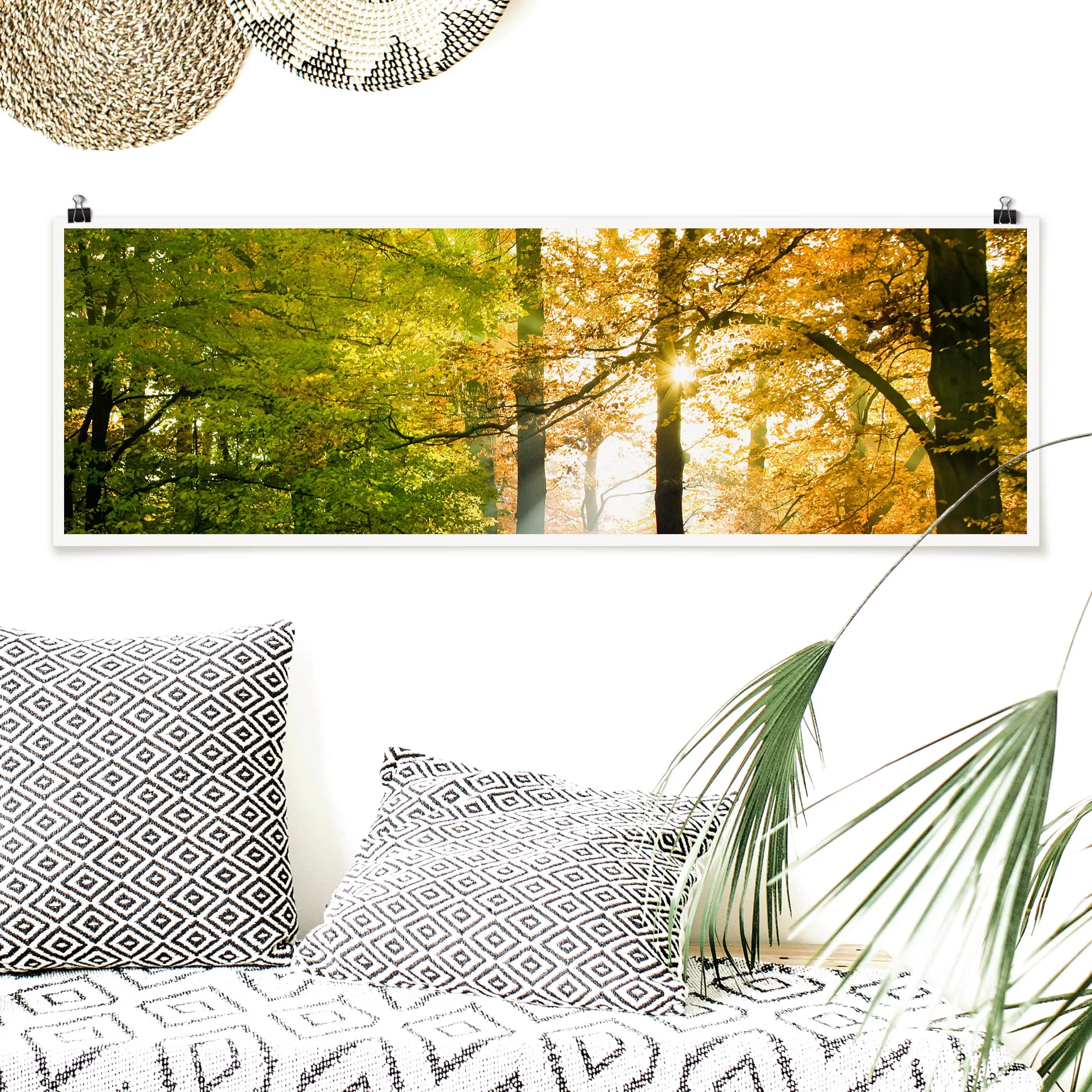 Panorama Poster Wald Morning Light günstig online kaufen