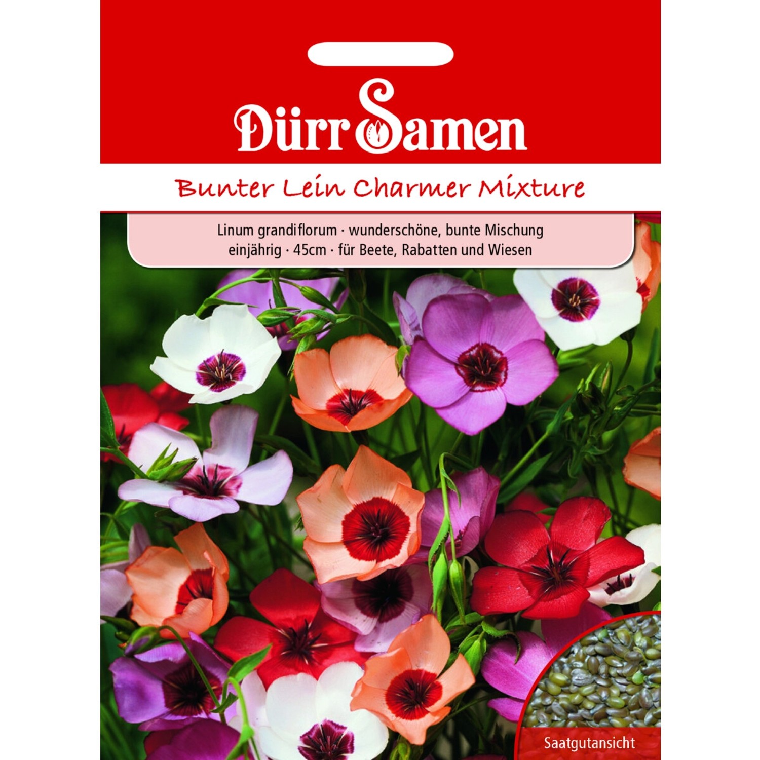 Dürr Samen Bunter Lein Charmer Mix Einjährig Saatgut günstig online kaufen