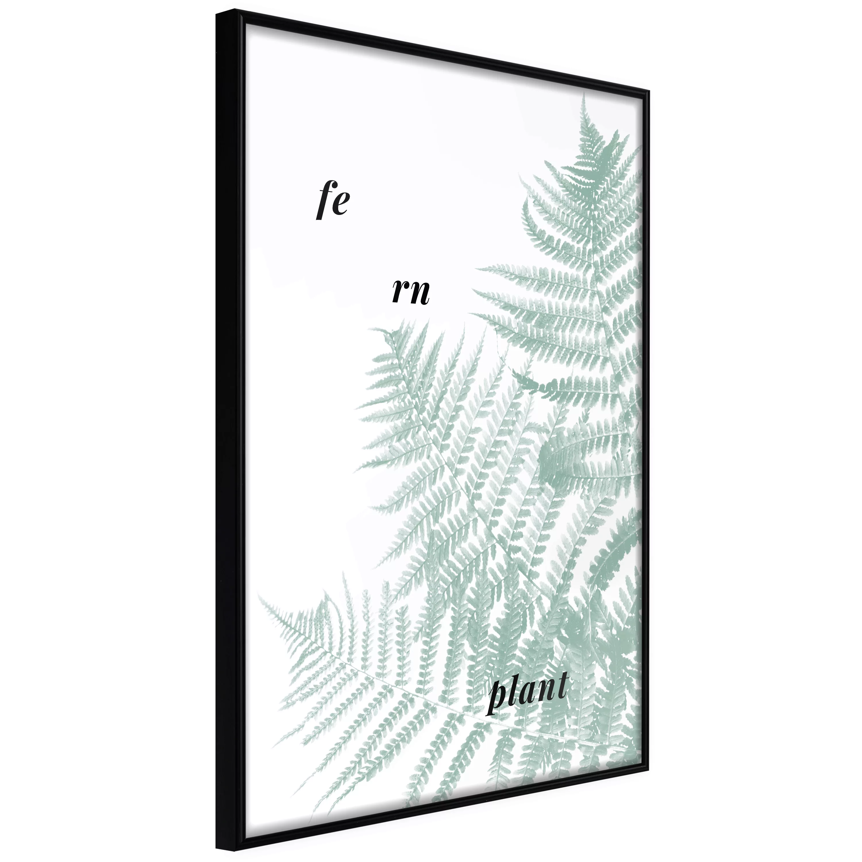 Poster - Pale Green Fern günstig online kaufen