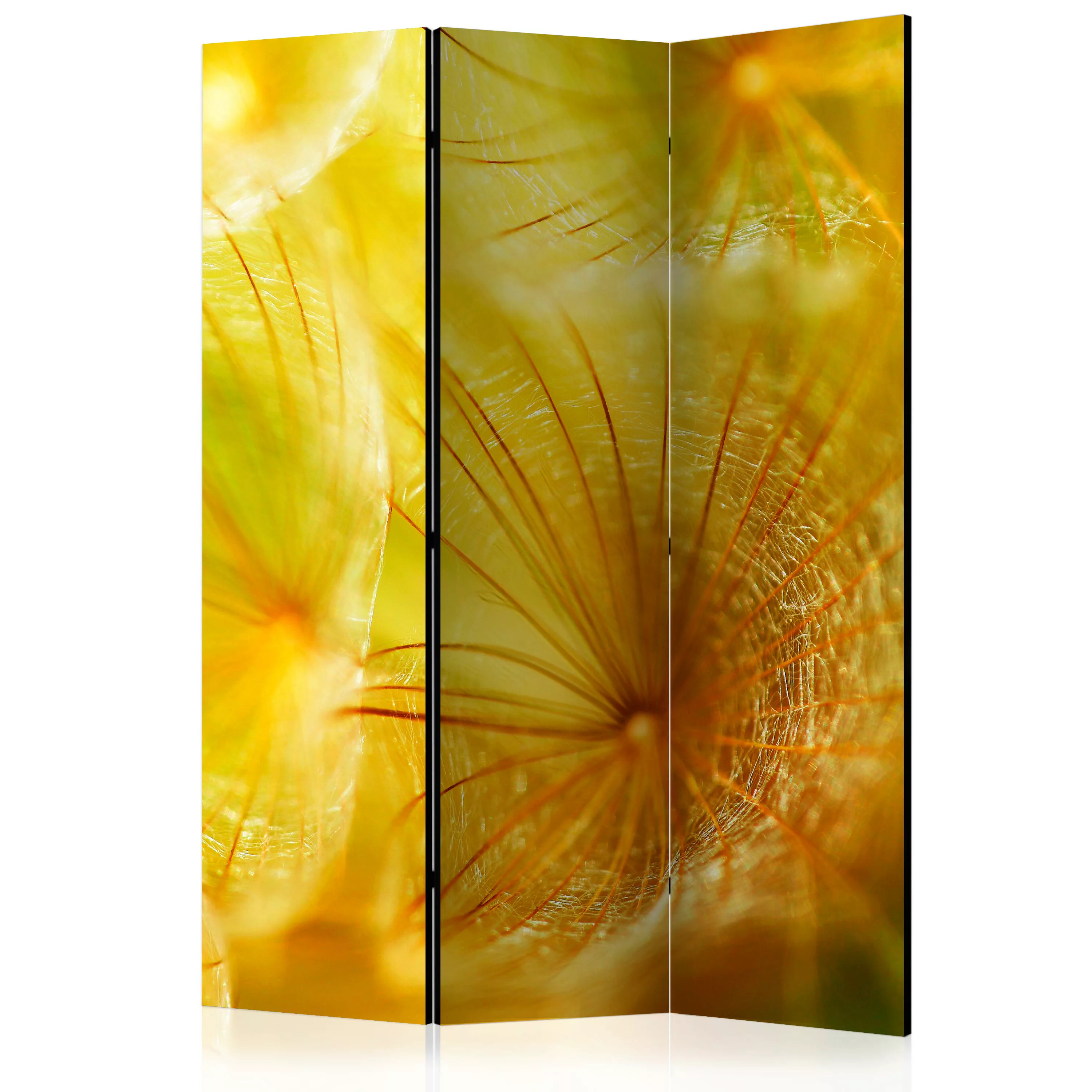 3-teiliges Paravent - Soft Dandelion Flower [room Dividers] günstig online kaufen