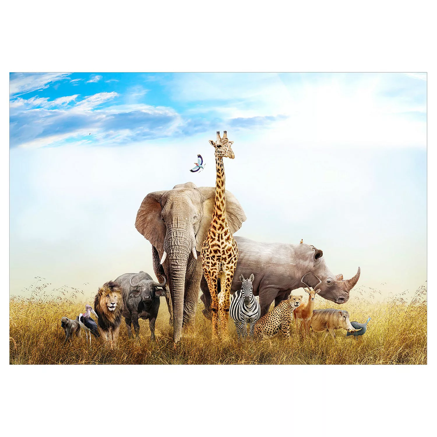 Selbstklebende Fototapete - Fauna of Africa günstig online kaufen