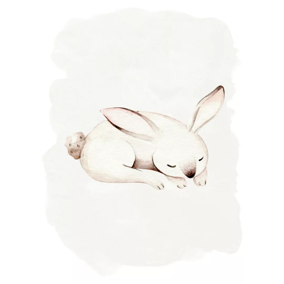 Komar Bild "Sleepy Bunny", Natur, (1 St.), Wandbild zur Dekoration - ohne R günstig online kaufen