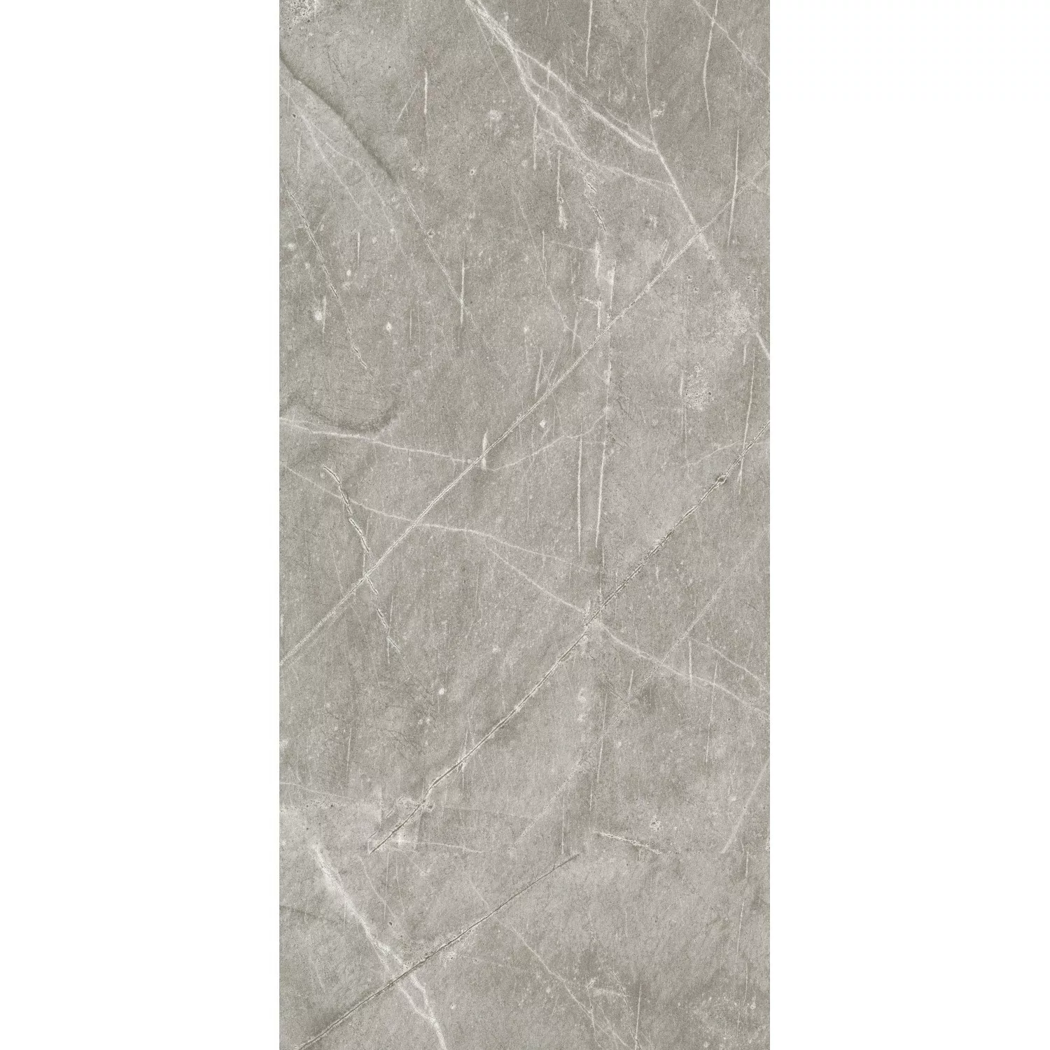 Kronoflooring Wandverkleidung Rock the Wall Grey Atlantic Marble 265 cm x 1 günstig online kaufen