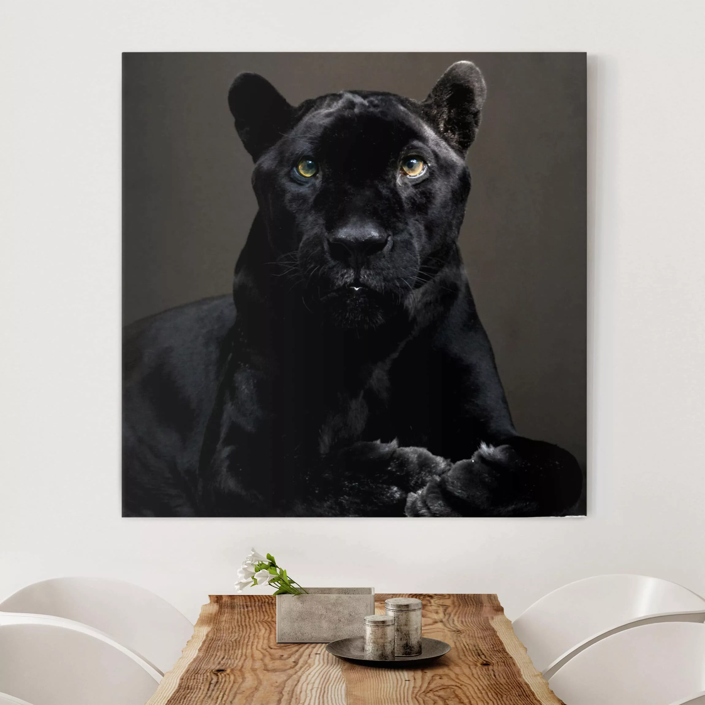 Leinwandbild Tiere - Quadrat Black Puma günstig online kaufen